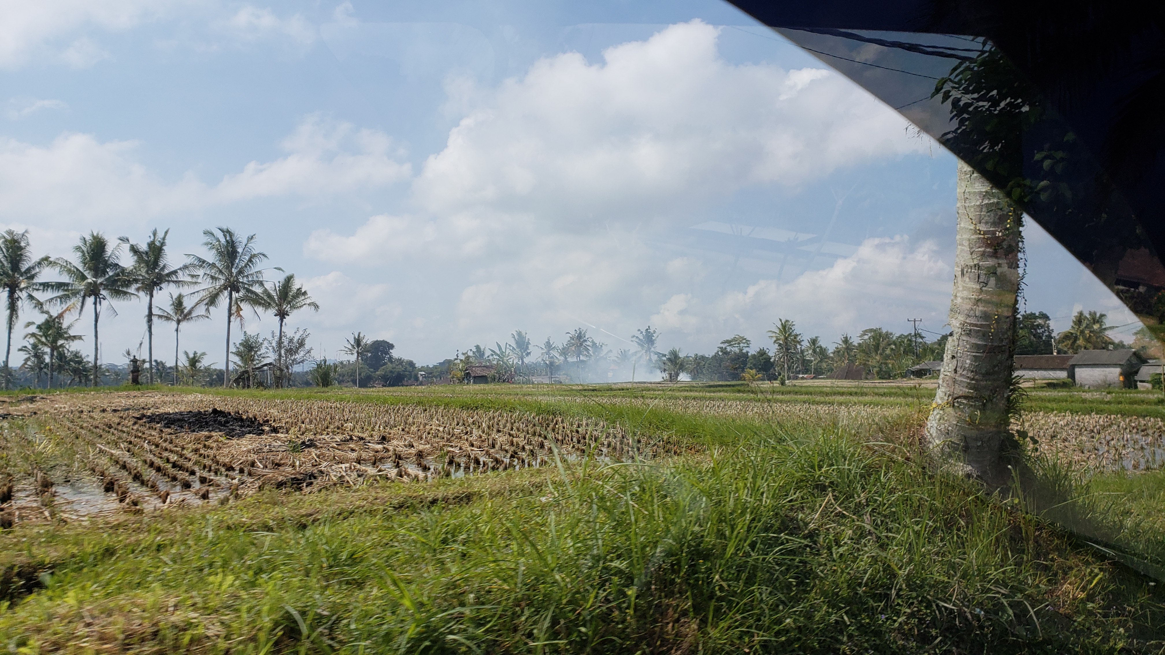 2018 Southeast Asia Trip Day 6 - Ubud, Bali, Indonesia (Mount Agung Volcano in Distance, Tegallalang Rice Terraces, Tirta Empul (Hindu Balinese Water Temple), Wearing Sarongs, Satria Agrowisata Coffee Plantation, Civet Cat Poop, Tibumana Waterfall)