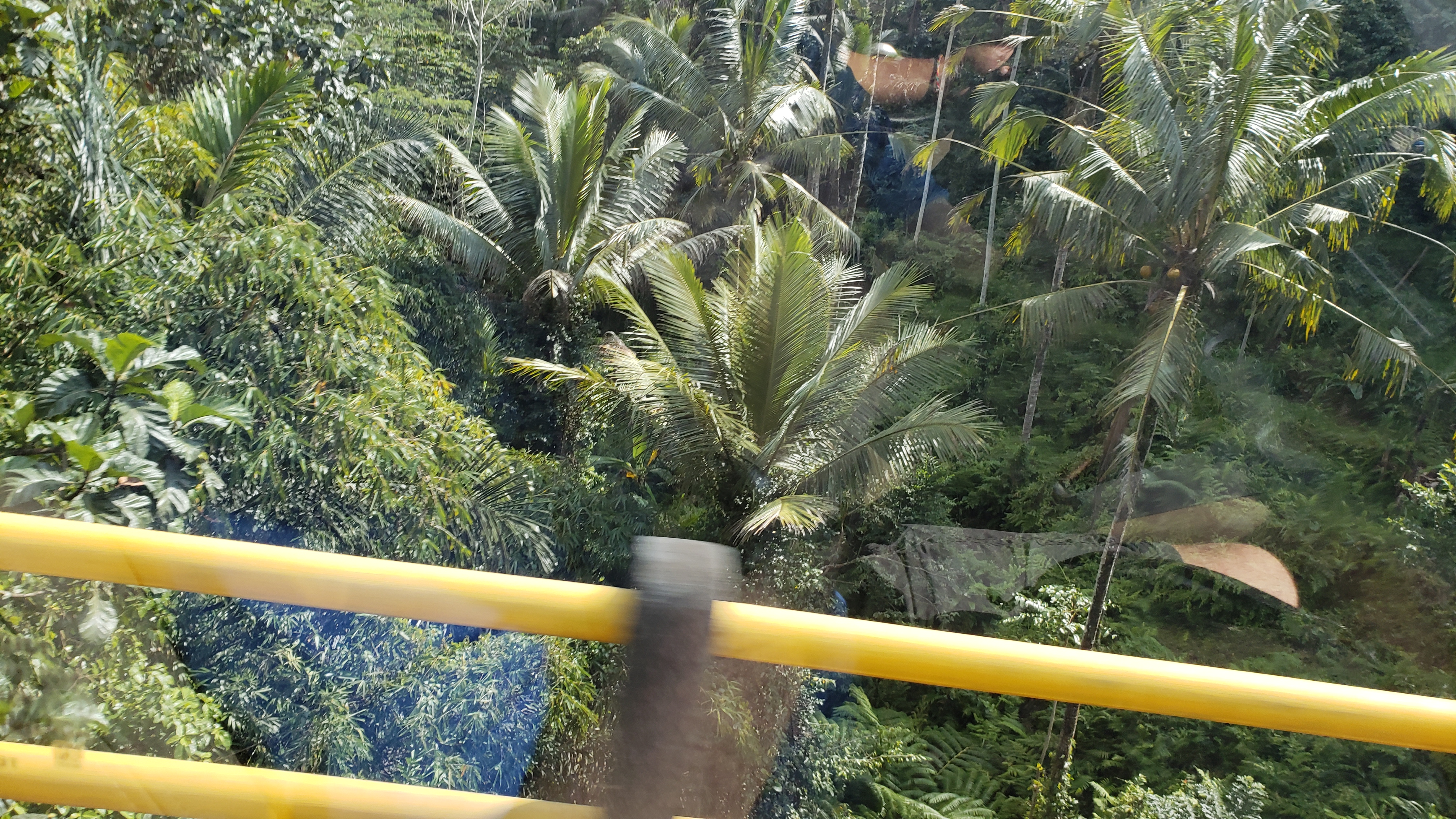 2018 Southeast Asia Trip Day 6 - Ubud, Bali, Indonesia (Mount Agung Volcano in Distance, Tegallalang Rice Terraces, Tirta Empul (Hindu Balinese Water Temple), Wearing Sarongs, Satria Agrowisata Coffee Plantation, Civet Cat Poop, Tibumana Waterfall)