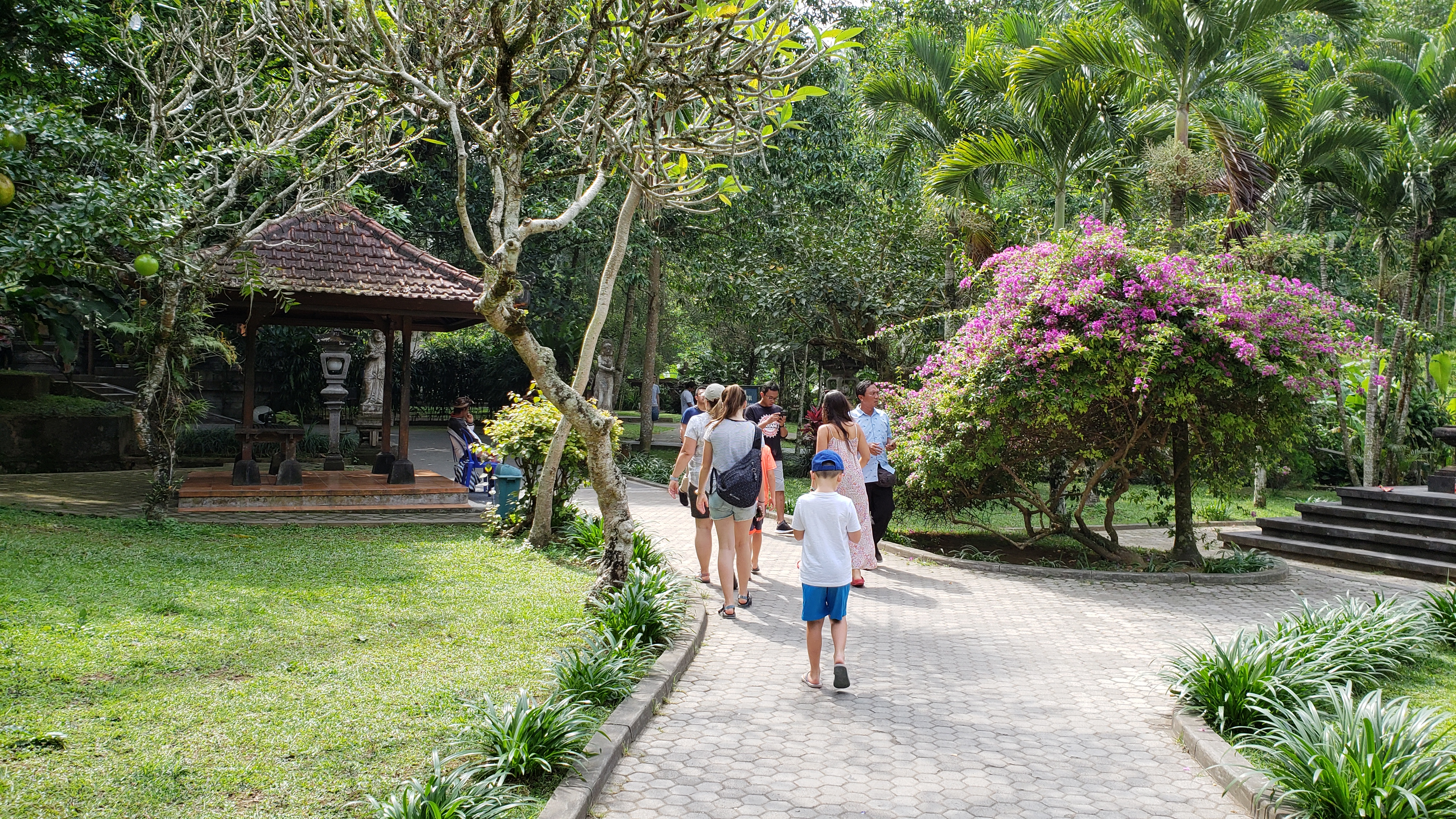 2018 Southeast Asia Trip Day 6 - Ubud, Bali, Indonesia (Mount Agung Volcano in Distance, Tegallalang Rice Terraces, Tirta Empul (Hindu Balinese Water Temple), Wearing Sarongs, Satria Agrowisata Coffee Plantation, Civet Cat Poop, Tibumana Waterfall)