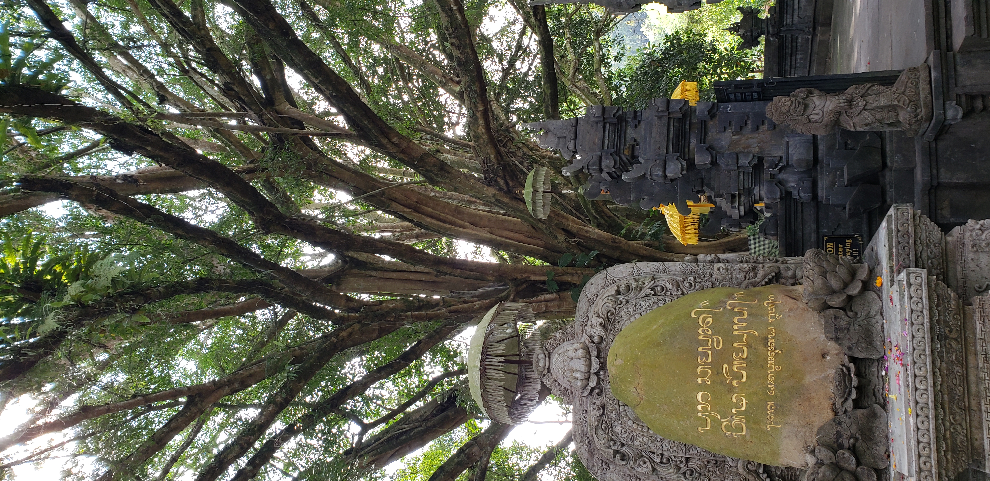 2018 Southeast Asia Trip Day 6 - Ubud, Bali, Indonesia (Mount Agung Volcano in Distance, Tegallalang Rice Terraces, Tirta Empul (Hindu Balinese Water Temple), Wearing Sarongs, Satria Agrowisata Coffee Plantation, Civet Cat Poop, Tibumana Waterfall)