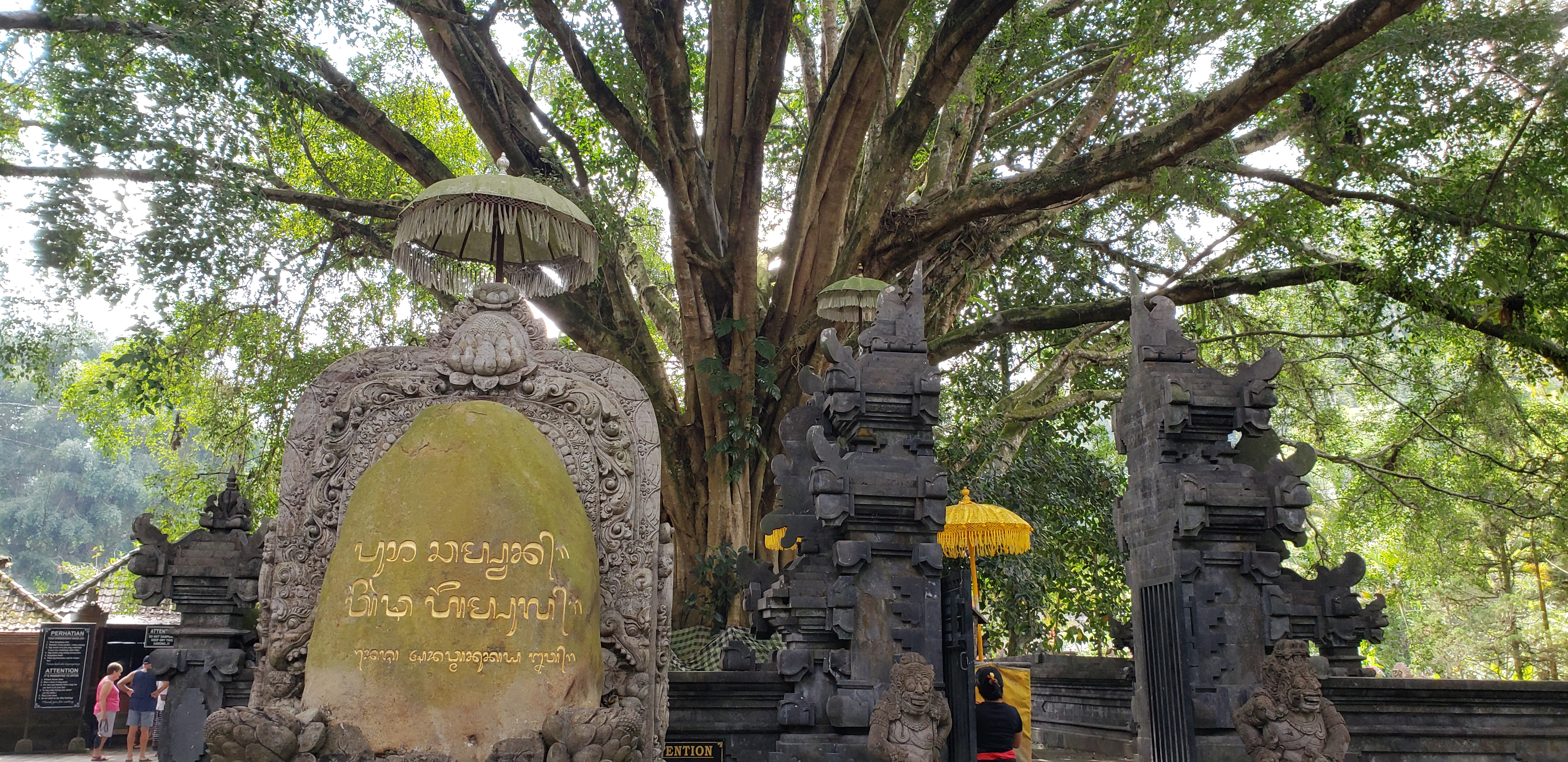 2018 Southeast Asia Trip Day 6 - Ubud, Bali, Indonesia (Mount Agung Volcano in Distance, Tegallalang Rice Terraces, Tirta Empul (Hindu Balinese Water Temple), Wearing Sarongs, Satria Agrowisata Coffee Plantation, Civet Cat Poop, Tibumana Waterfall)