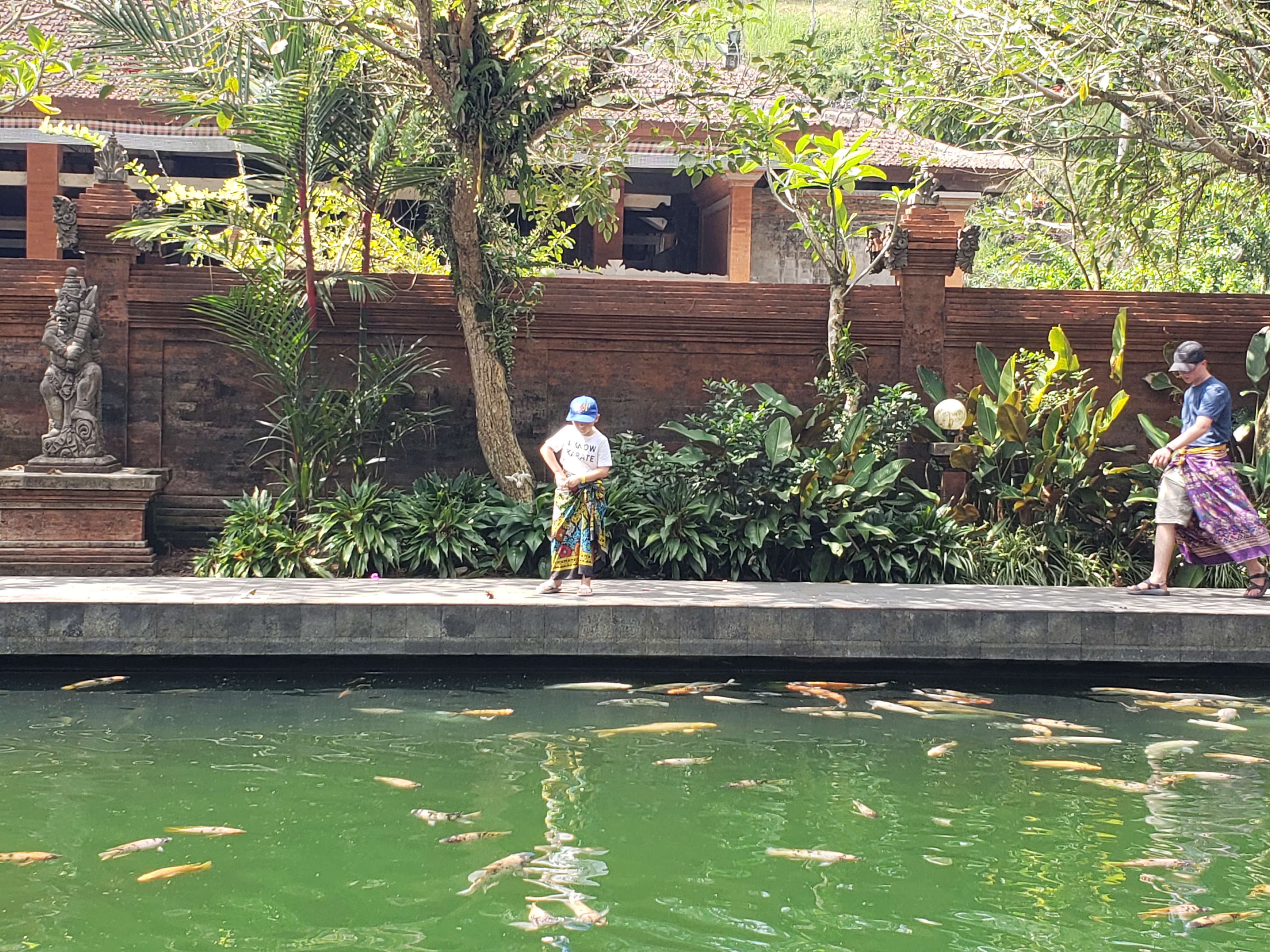 2018 Southeast Asia Trip Day 6 - Ubud, Bali, Indonesia (Mount Agung Volcano in Distance, Tegallalang Rice Terraces, Tirta Empul (Hindu Balinese Water Temple), Wearing Sarongs, Satria Agrowisata Coffee Plantation, Civet Cat Poop, Tibumana Waterfall)