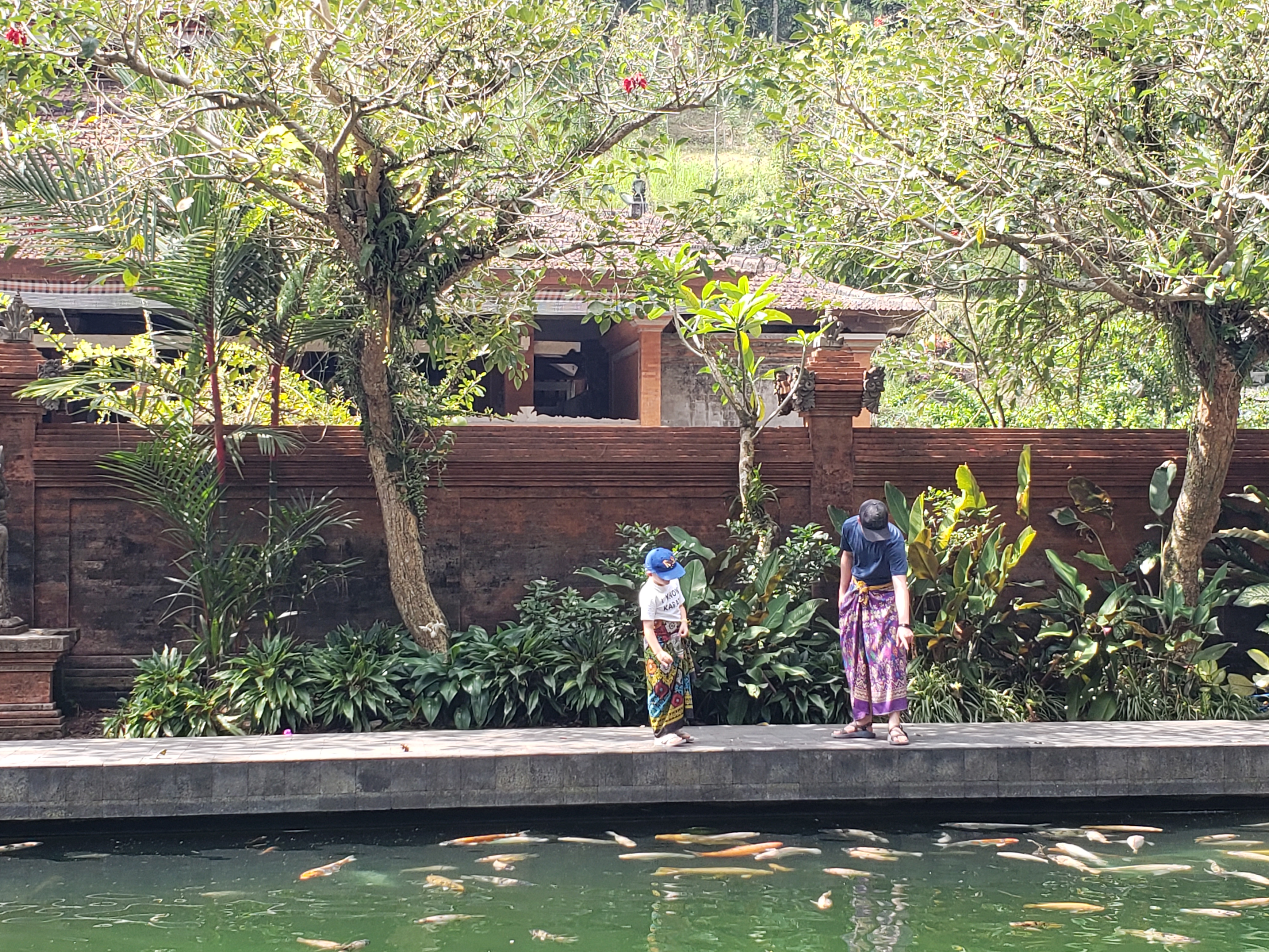 2018 Southeast Asia Trip Day 6 - Ubud, Bali, Indonesia (Mount Agung Volcano in Distance, Tegallalang Rice Terraces, Tirta Empul (Hindu Balinese Water Temple), Wearing Sarongs, Satria Agrowisata Coffee Plantation, Civet Cat Poop, Tibumana Waterfall)