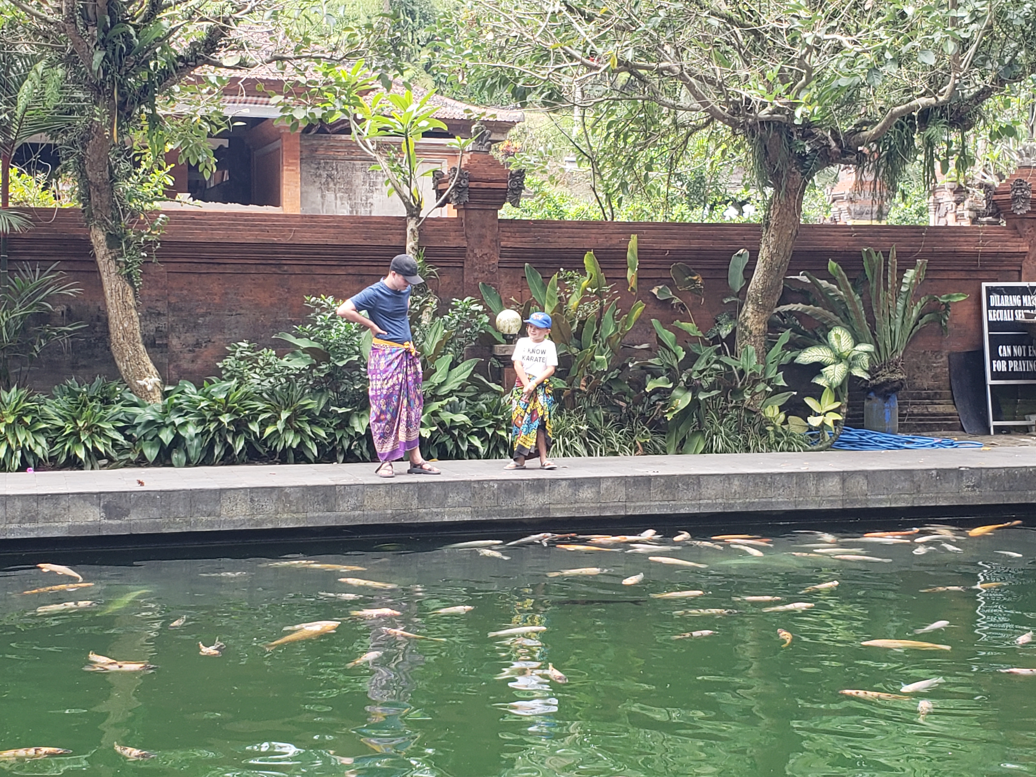 2018 Southeast Asia Trip Day 6 - Ubud, Bali, Indonesia (Mount Agung Volcano in Distance, Tegallalang Rice Terraces, Tirta Empul (Hindu Balinese Water Temple), Wearing Sarongs, Satria Agrowisata Coffee Plantation, Civet Cat Poop, Tibumana Waterfall)