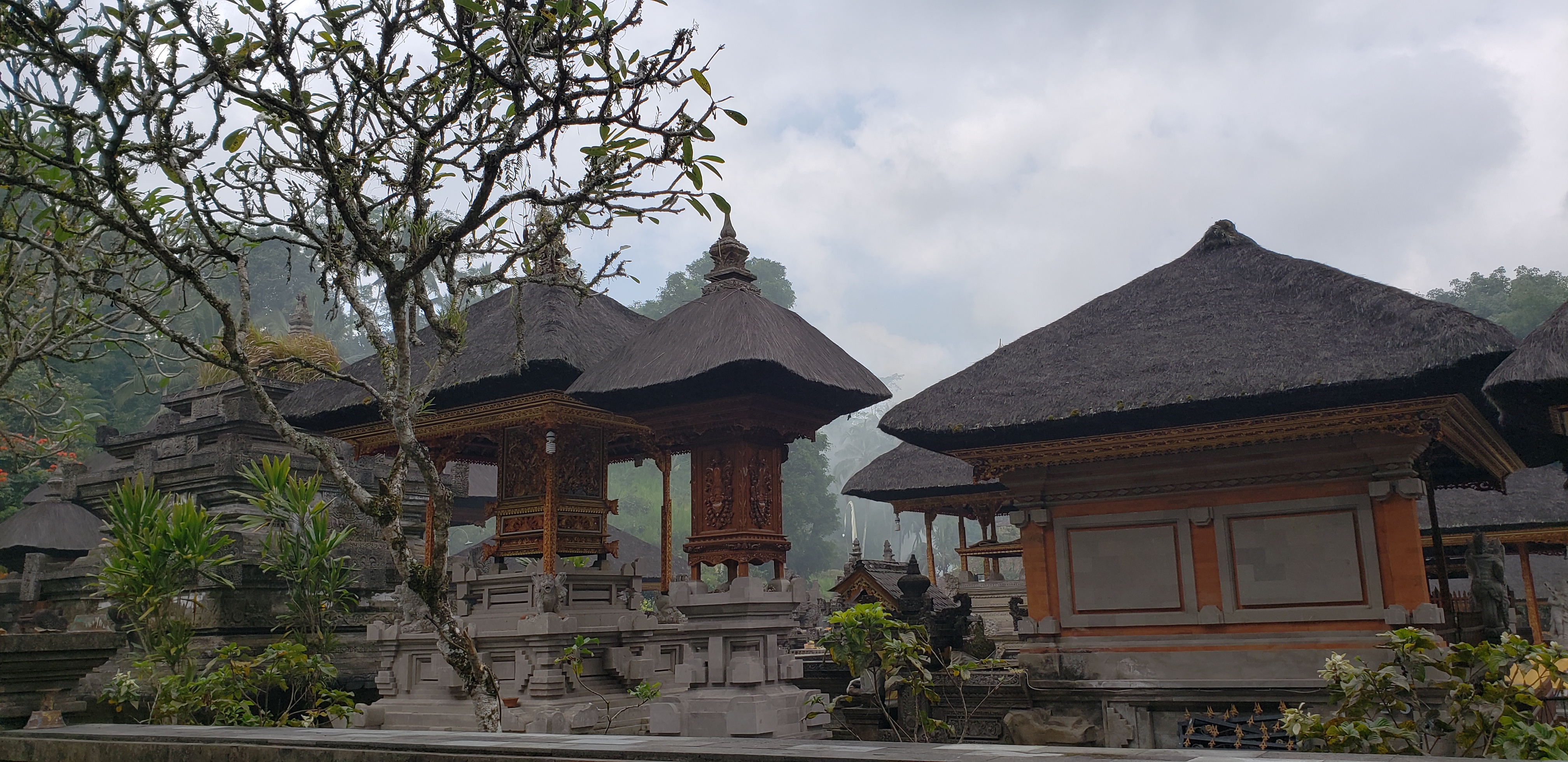 2018 Southeast Asia Trip Day 6 - Ubud, Bali, Indonesia (Mount Agung Volcano in Distance, Tegallalang Rice Terraces, Tirta Empul (Hindu Balinese Water Temple), Wearing Sarongs, Satria Agrowisata Coffee Plantation, Civet Cat Poop, Tibumana Waterfall)