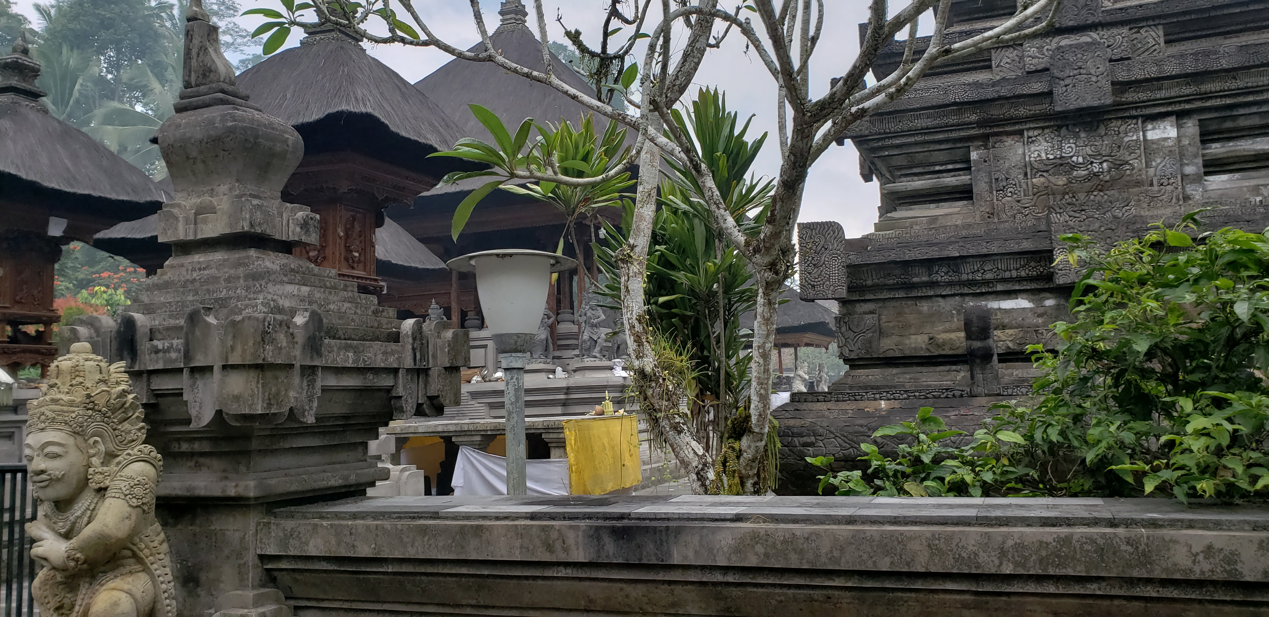 2018 Southeast Asia Trip Day 6 - Ubud, Bali, Indonesia (Mount Agung Volcano in Distance, Tegallalang Rice Terraces, Tirta Empul (Hindu Balinese Water Temple), Wearing Sarongs, Satria Agrowisata Coffee Plantation, Civet Cat Poop, Tibumana Waterfall)