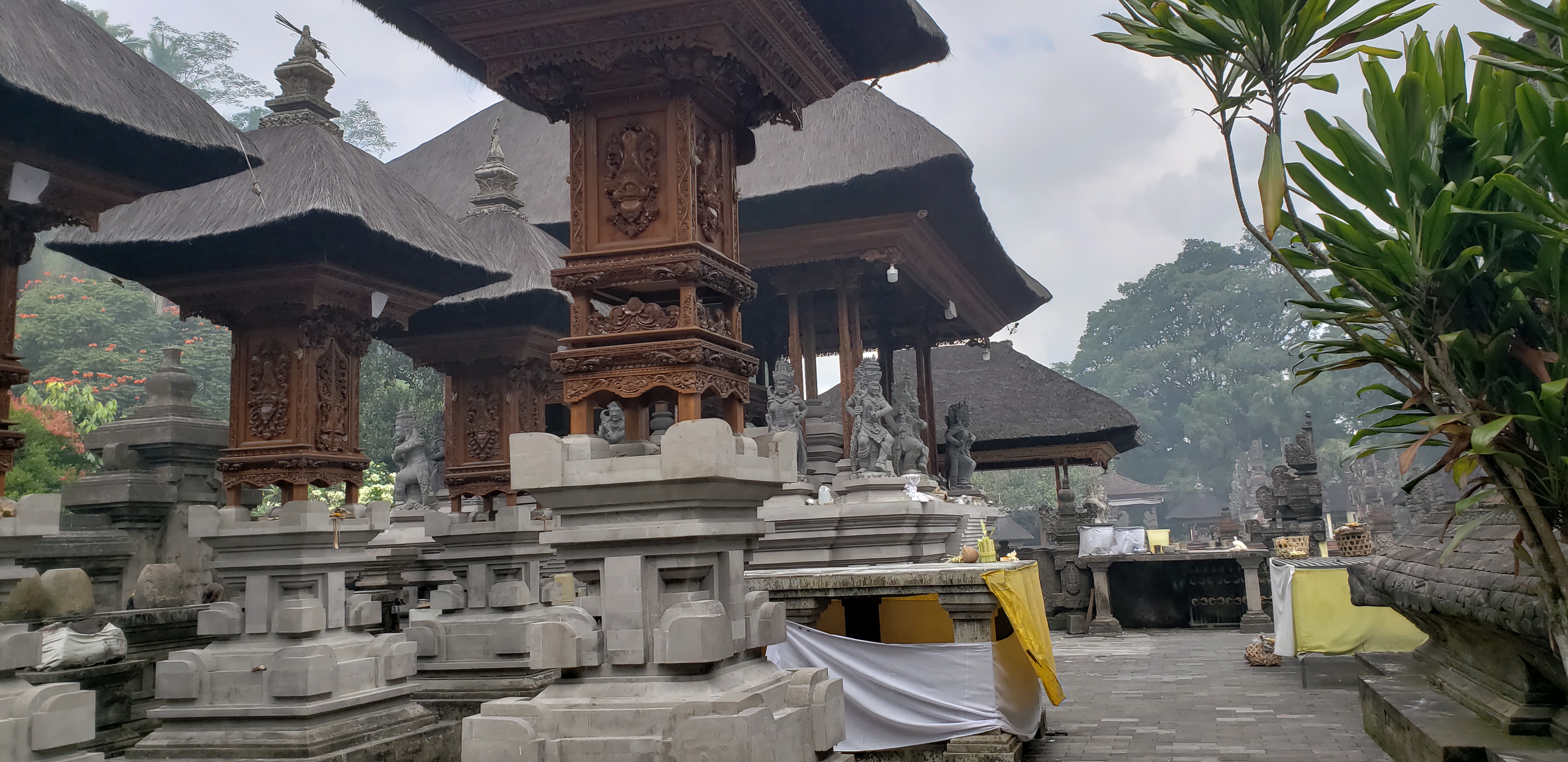 2018 Southeast Asia Trip Day 6 - Ubud, Bali, Indonesia (Mount Agung Volcano in Distance, Tegallalang Rice Terraces, Tirta Empul (Hindu Balinese Water Temple), Wearing Sarongs, Satria Agrowisata Coffee Plantation, Civet Cat Poop, Tibumana Waterfall)