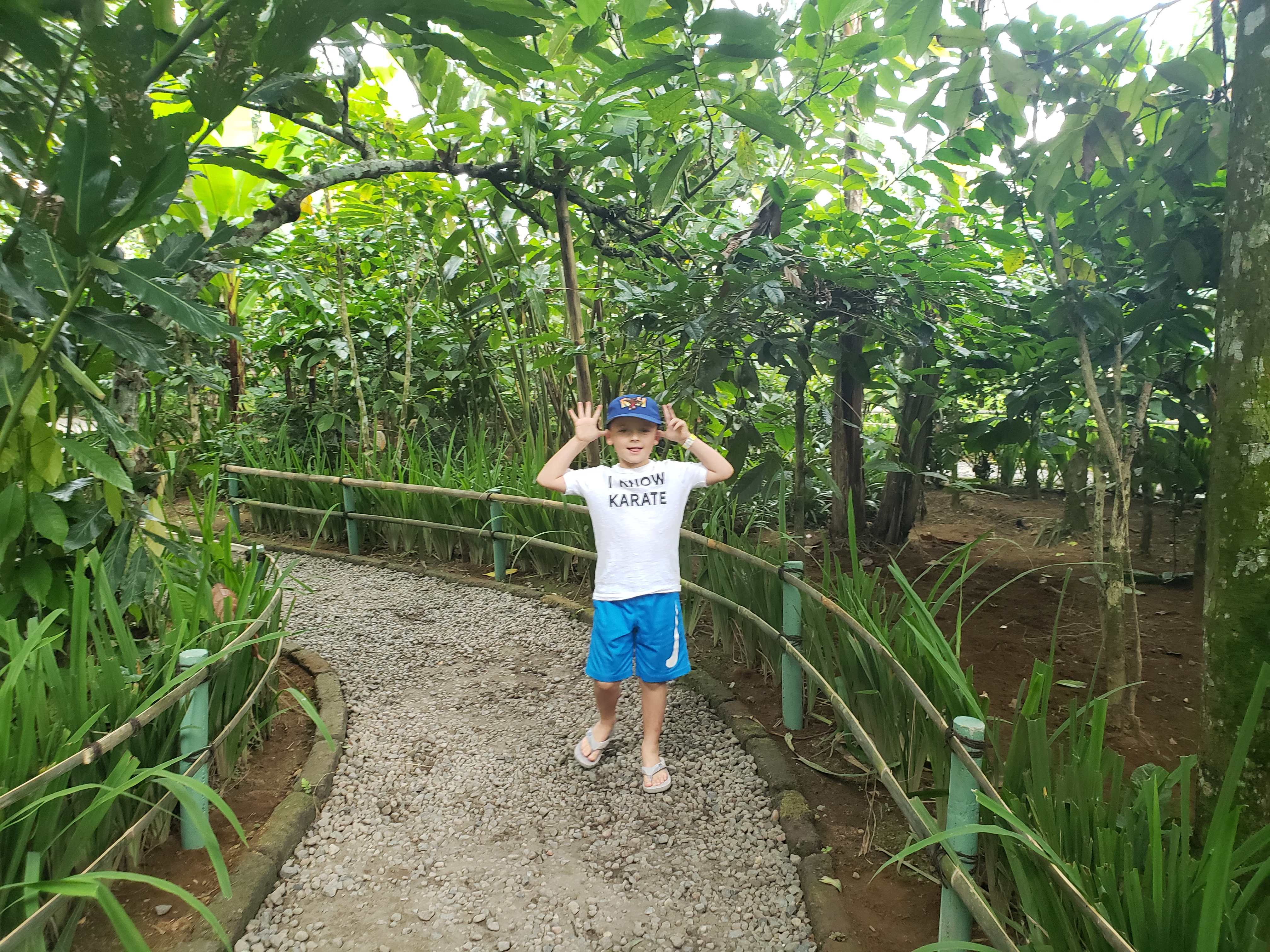 2018 Southeast Asia Trip Day 6 - Ubud, Bali, Indonesia (Mount Agung Volcano in Distance, Tegallalang Rice Terraces, Tirta Empul (Hindu Balinese Water Temple), Wearing Sarongs, Satria Agrowisata Coffee Plantation, Civet Cat Poop, Tibumana Waterfall)