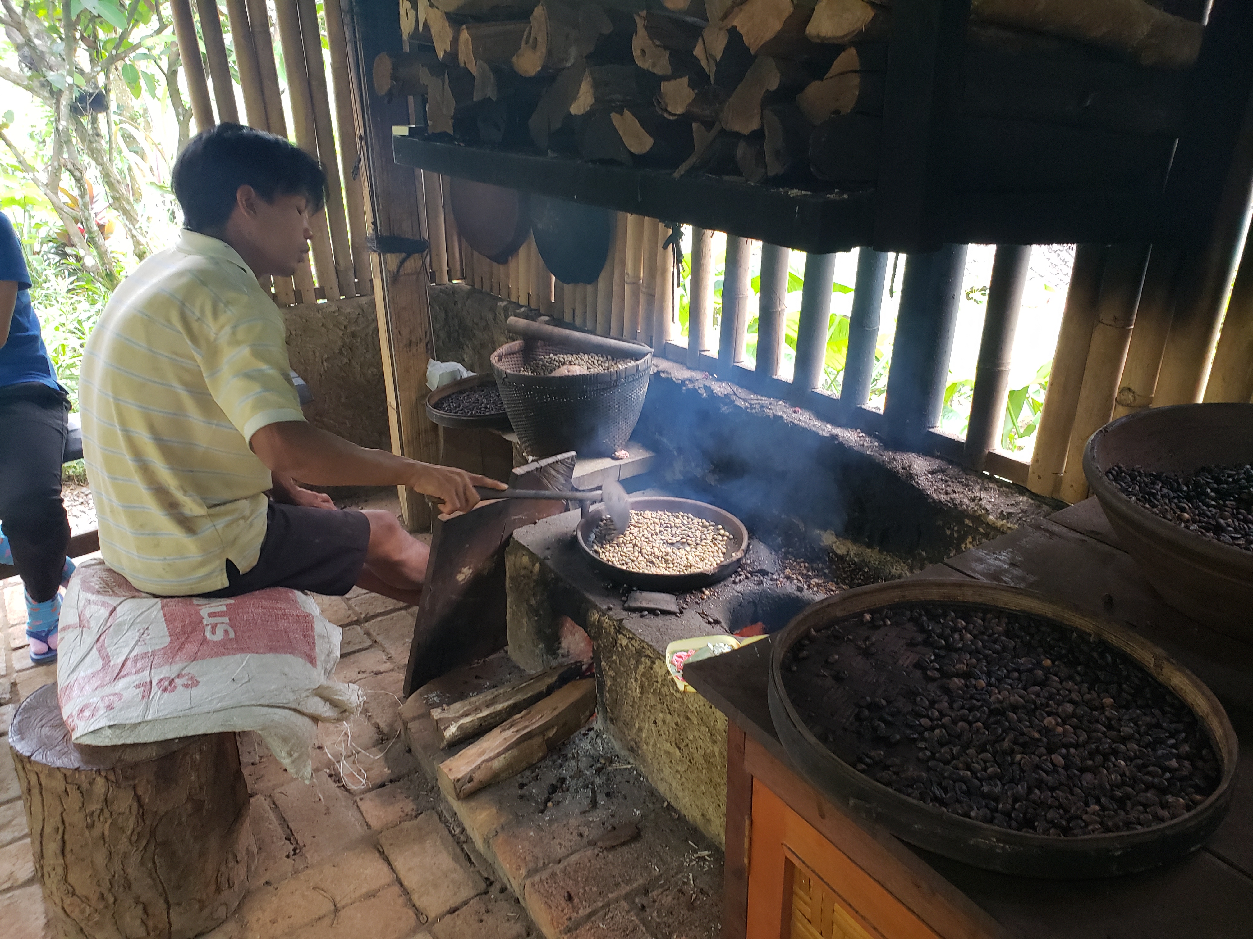 2018 Southeast Asia Trip Day 6 - Ubud, Bali, Indonesia (Mount Agung Volcano in Distance, Tegallalang Rice Terraces, Tirta Empul (Hindu Balinese Water Temple), Wearing Sarongs, Satria Agrowisata Coffee Plantation, Civet Cat Poop, Tibumana Waterfall)