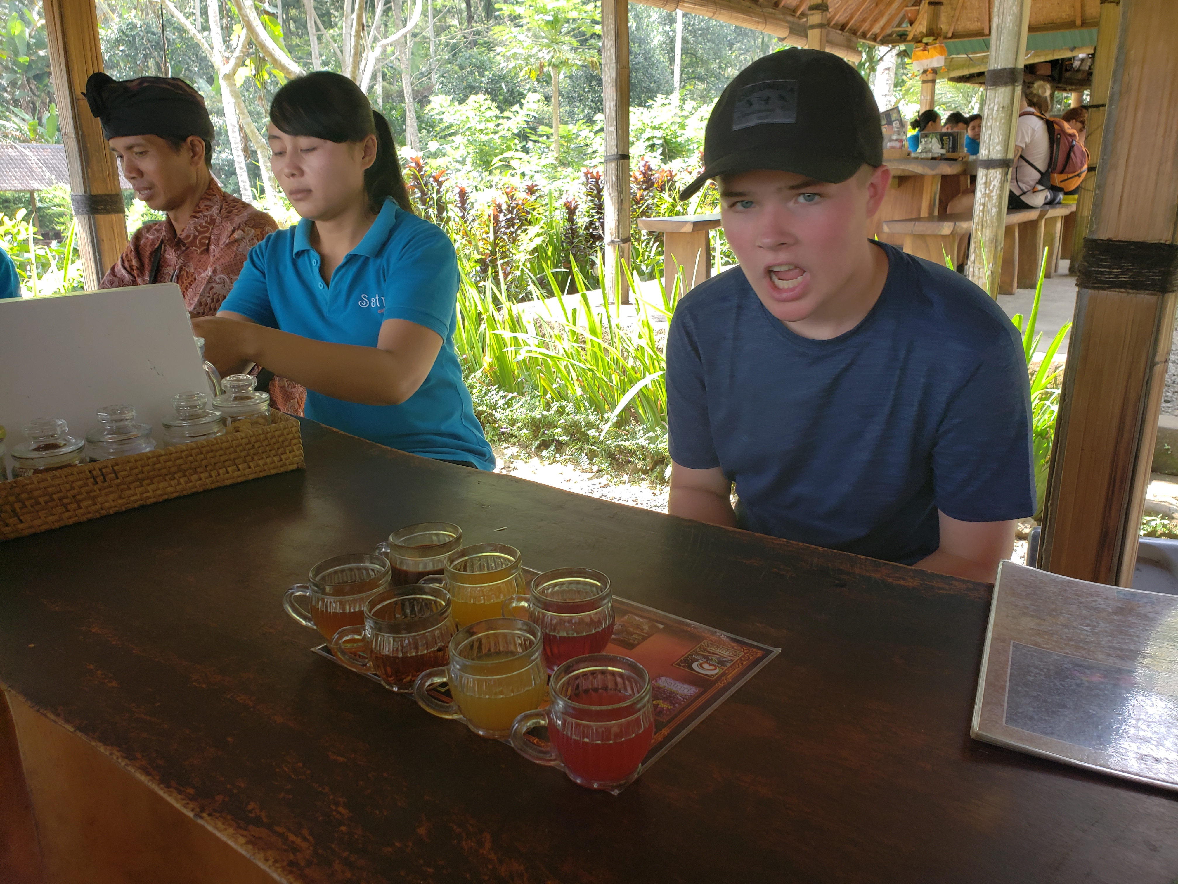 2018 Southeast Asia Trip Day 6 - Ubud, Bali, Indonesia (Mount Agung Volcano in Distance, Tegallalang Rice Terraces, Tirta Empul (Hindu Balinese Water Temple), Wearing Sarongs, Satria Agrowisata Coffee Plantation, Civet Cat Poop, Tibumana Waterfall)