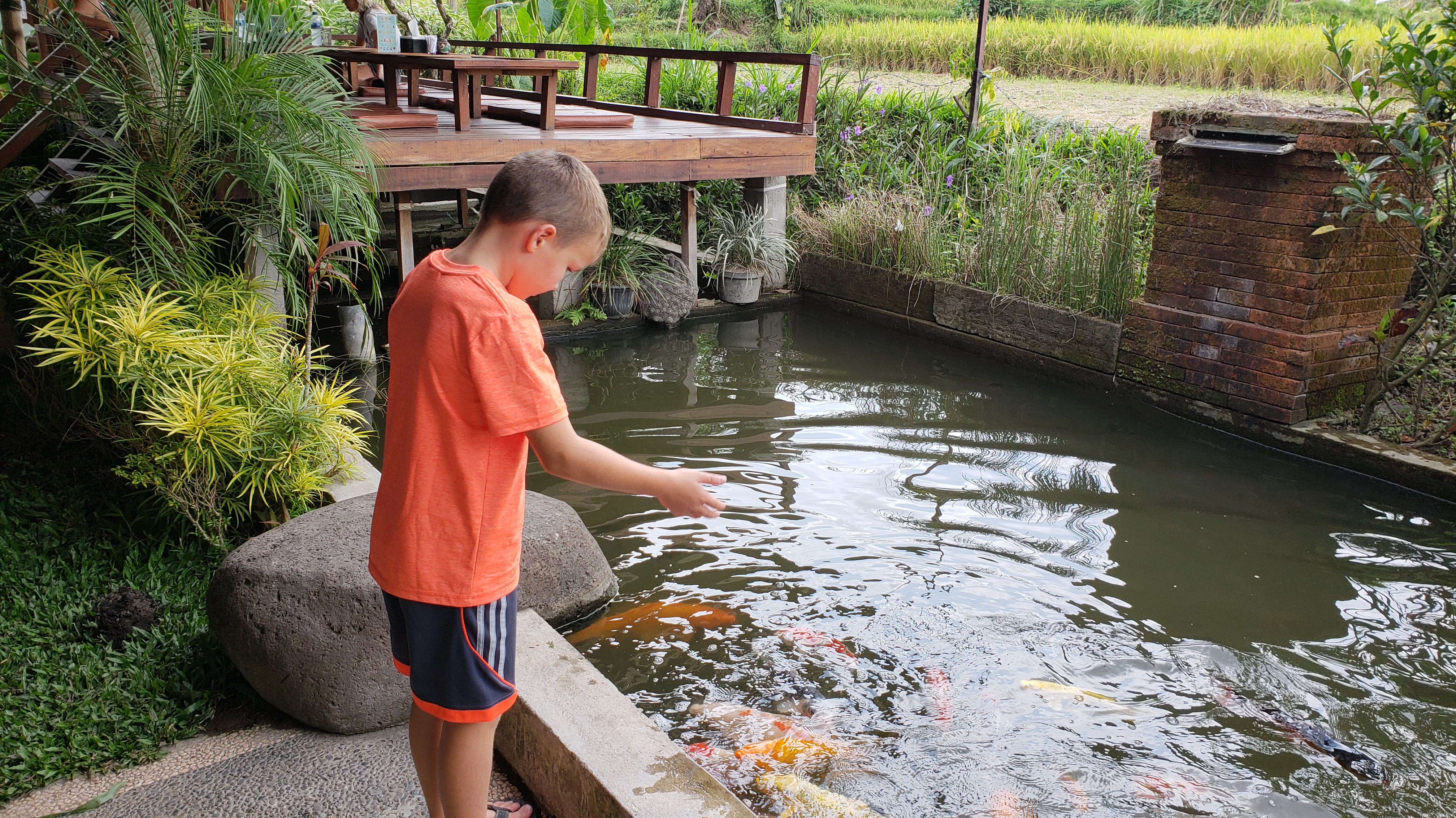 2018 Southeast Asia Trip Day 6 - Ubud, Bali, Indonesia (Mount Agung Volcano in Distance, Tegallalang Rice Terraces, Tirta Empul (Hindu Balinese Water Temple), Wearing Sarongs, Satria Agrowisata Coffee Plantation, Civet Cat Poop, Tibumana Waterfall)