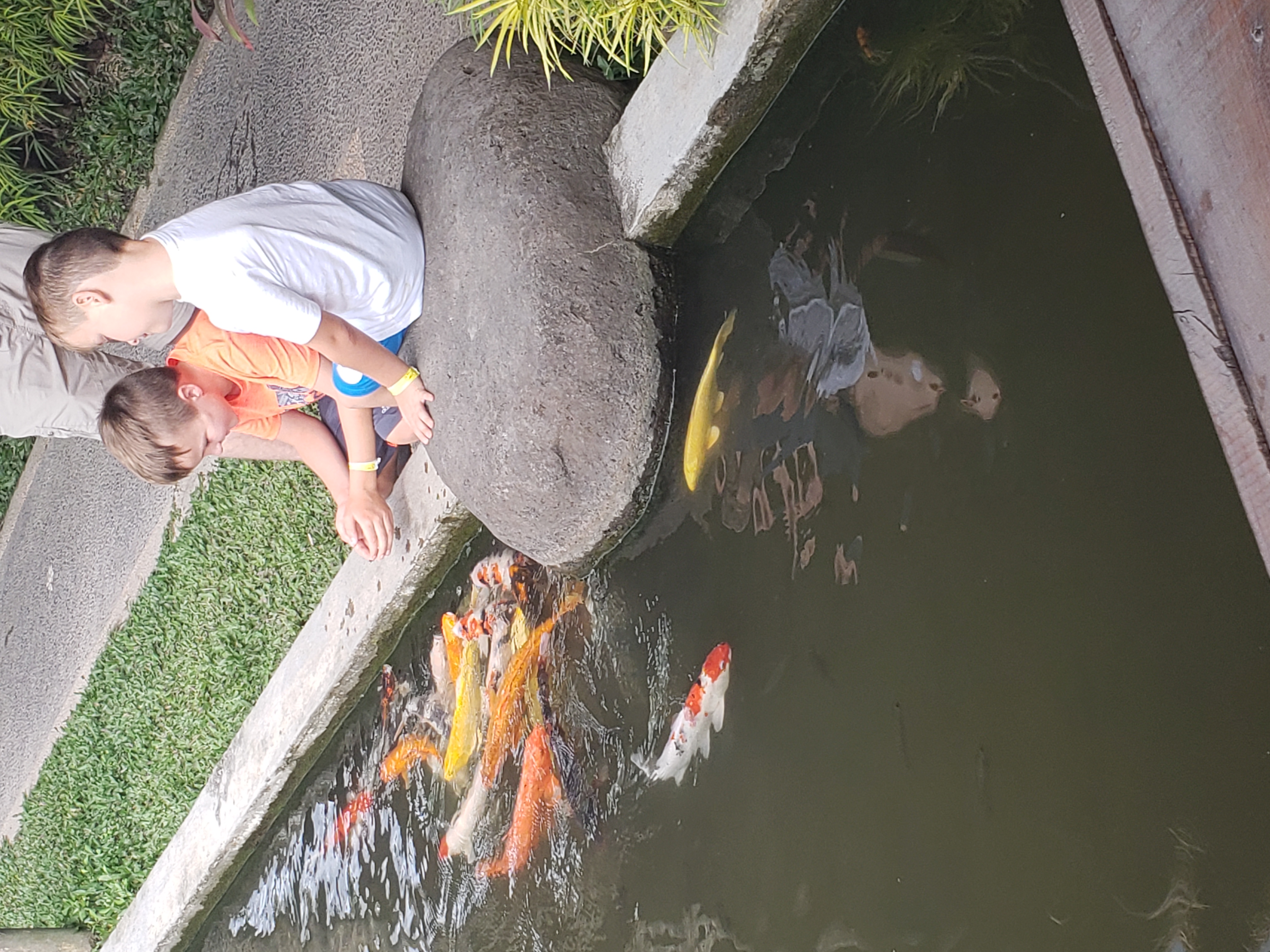 2018 Southeast Asia Trip Day 6 - Ubud, Bali, Indonesia (Mount Agung Volcano in Distance, Tegallalang Rice Terraces, Tirta Empul (Hindu Balinese Water Temple), Wearing Sarongs, Satria Agrowisata Coffee Plantation, Civet Cat Poop, Tibumana Waterfall)