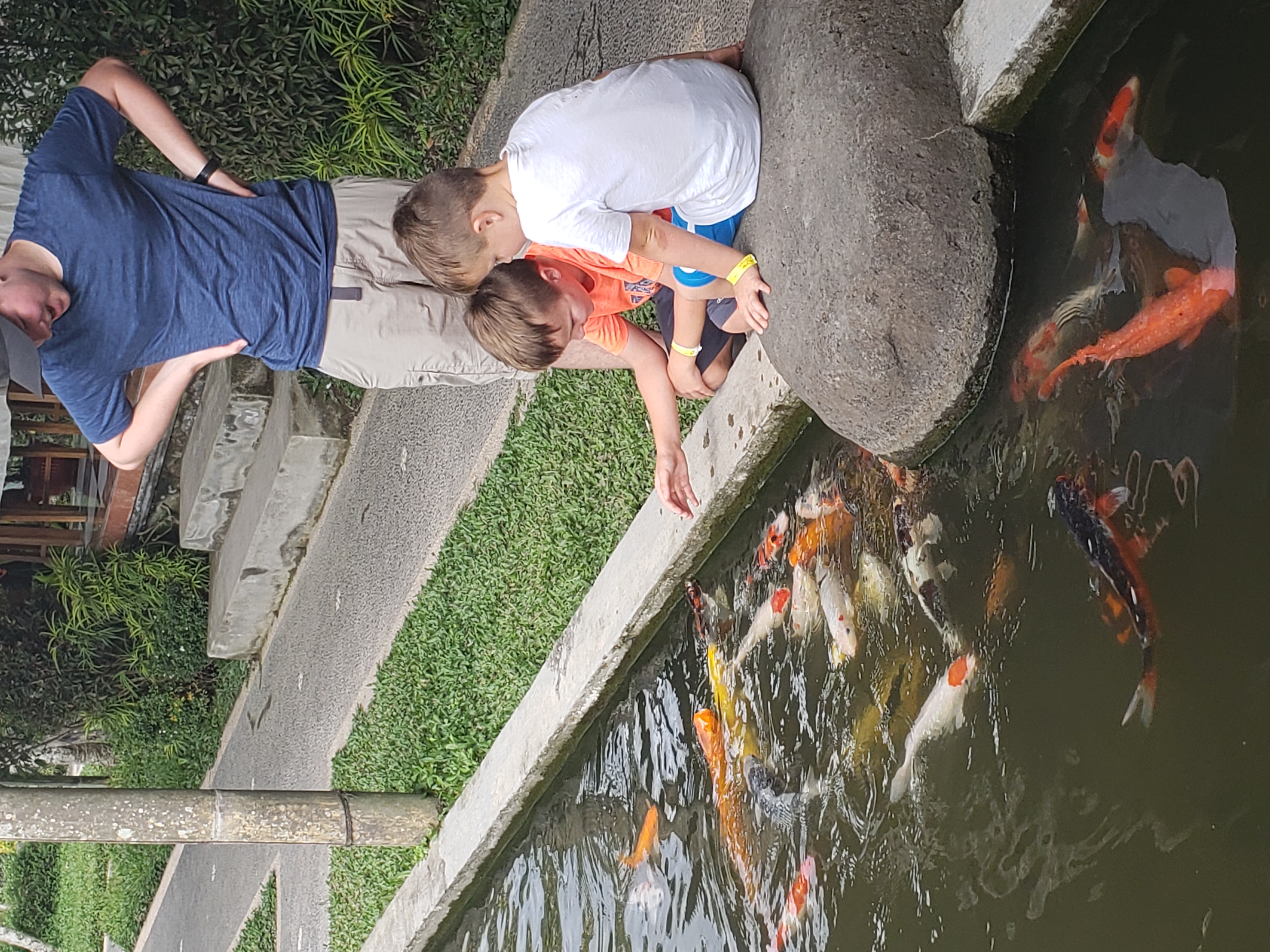 2018 Southeast Asia Trip Day 6 - Ubud, Bali, Indonesia (Mount Agung Volcano in Distance, Tegallalang Rice Terraces, Tirta Empul (Hindu Balinese Water Temple), Wearing Sarongs, Satria Agrowisata Coffee Plantation, Civet Cat Poop, Tibumana Waterfall)