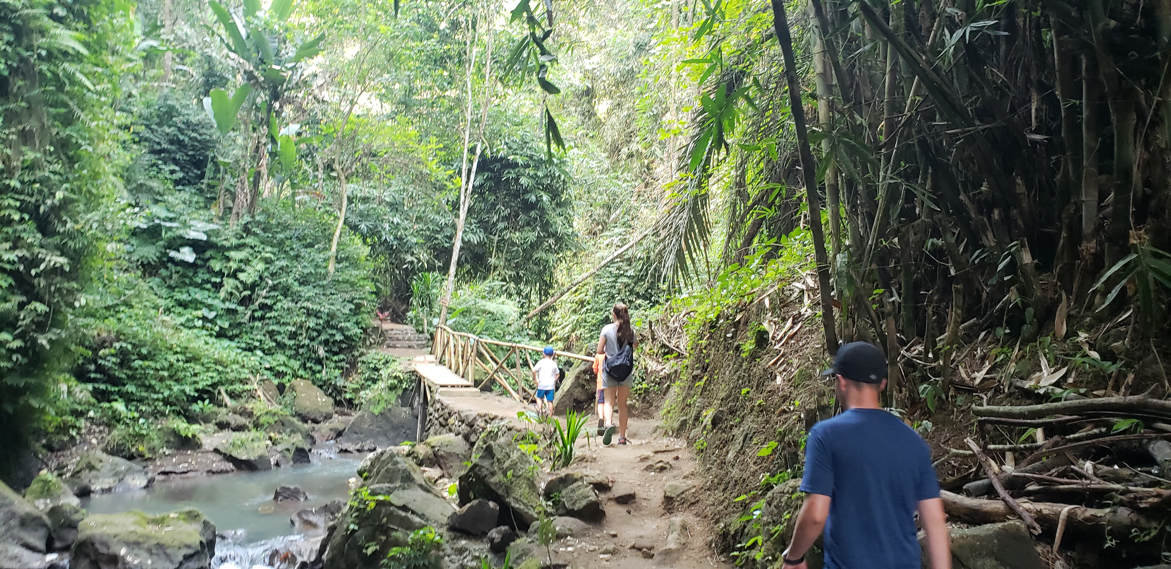 2018 Southeast Asia Trip Day 6 - Ubud, Bali, Indonesia (Mount Agung Volcano in Distance, Tegallalang Rice Terraces, Tirta Empul (Hindu Balinese Water Temple), Wearing Sarongs, Satria Agrowisata Coffee Plantation, Civet Cat Poop, Tibumana Waterfall)