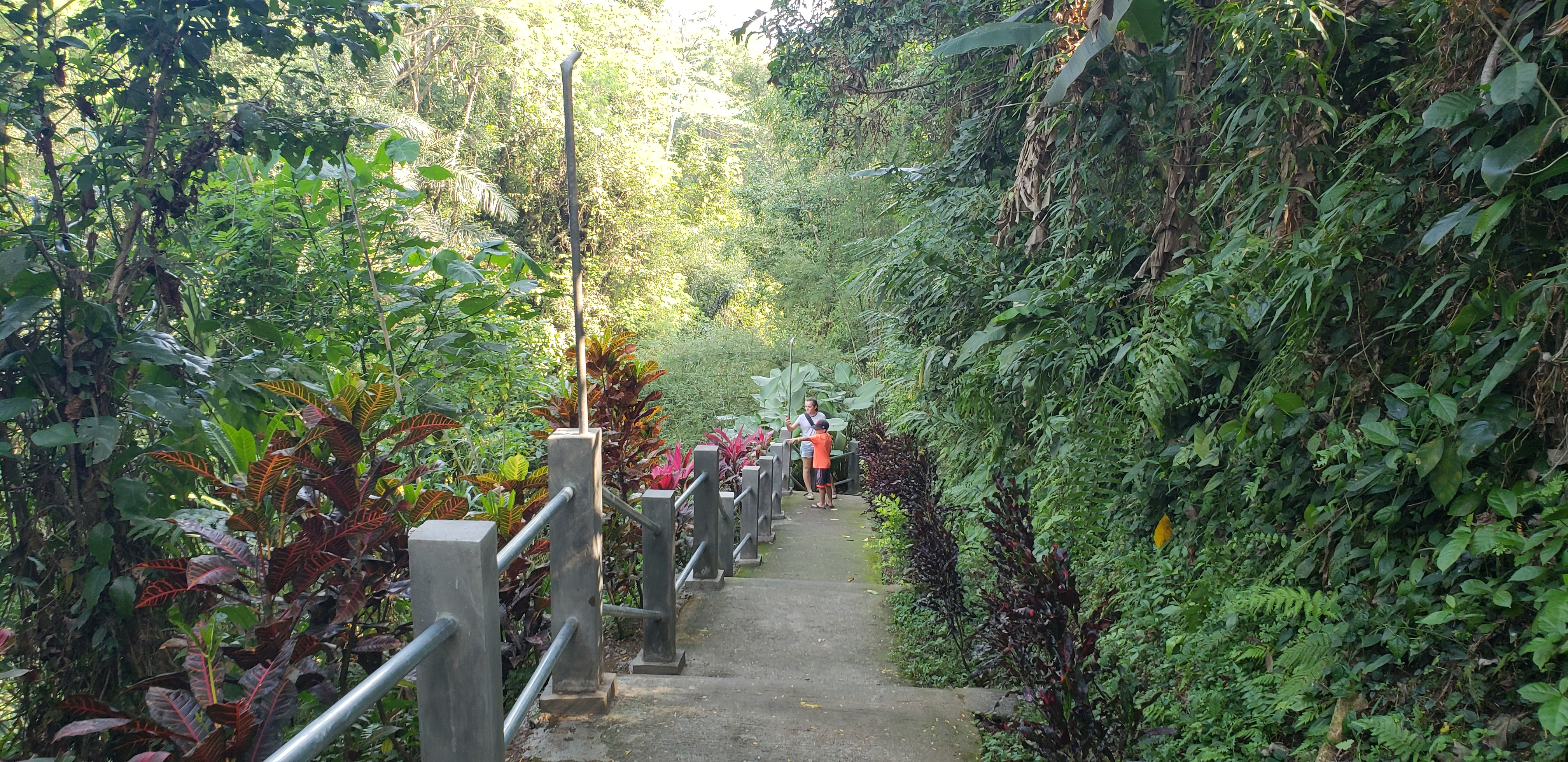 2018 Southeast Asia Trip Day 6 - Ubud, Bali, Indonesia (Mount Agung Volcano in Distance, Tegallalang Rice Terraces, Tirta Empul (Hindu Balinese Water Temple), Wearing Sarongs, Satria Agrowisata Coffee Plantation, Civet Cat Poop, Tibumana Waterfall)