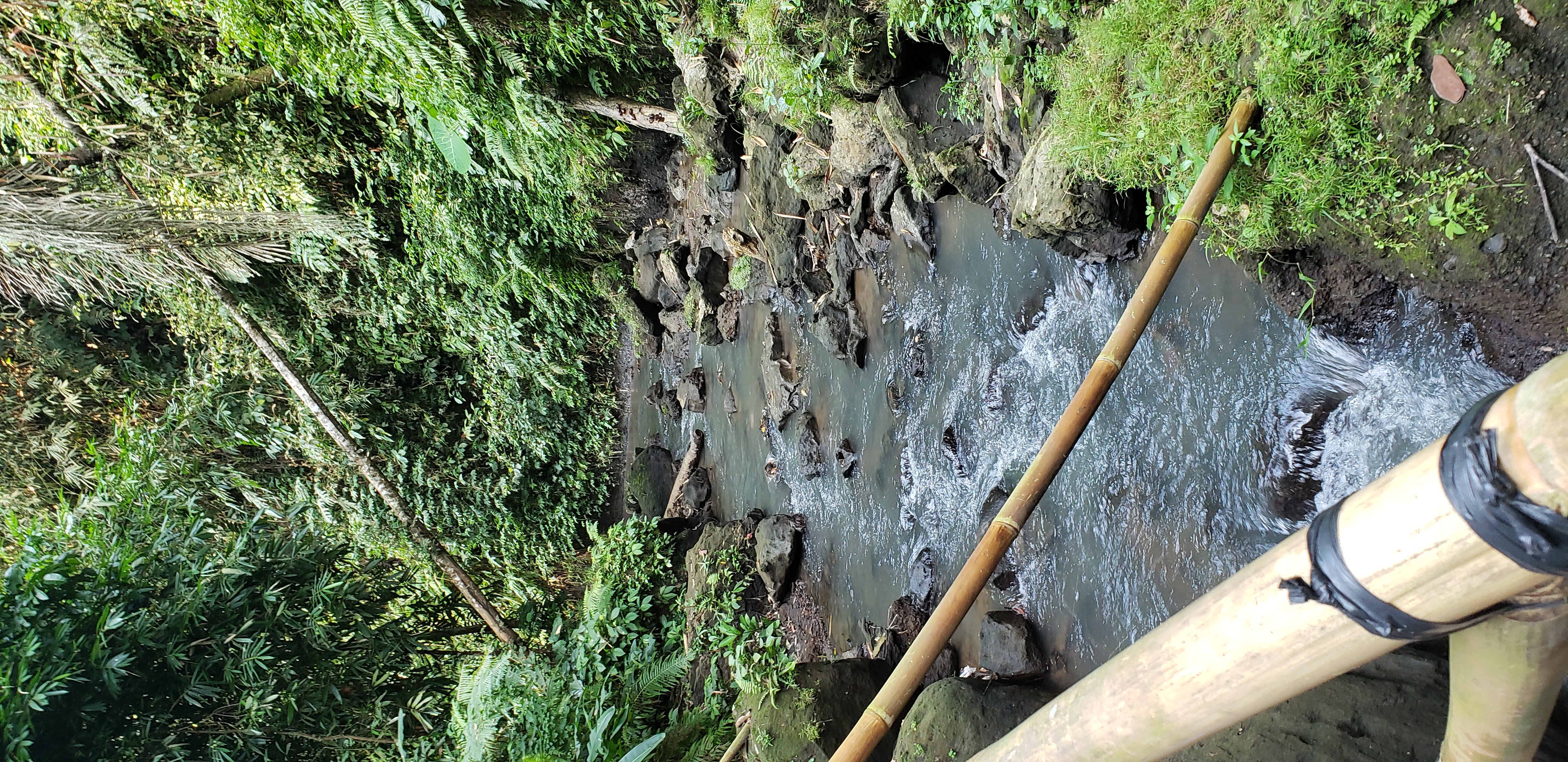 2018 Southeast Asia Trip Day 6 - Ubud, Bali, Indonesia (Mount Agung Volcano in Distance, Tegallalang Rice Terraces, Tirta Empul (Hindu Balinese Water Temple), Wearing Sarongs, Satria Agrowisata Coffee Plantation, Civet Cat Poop, Tibumana Waterfall)