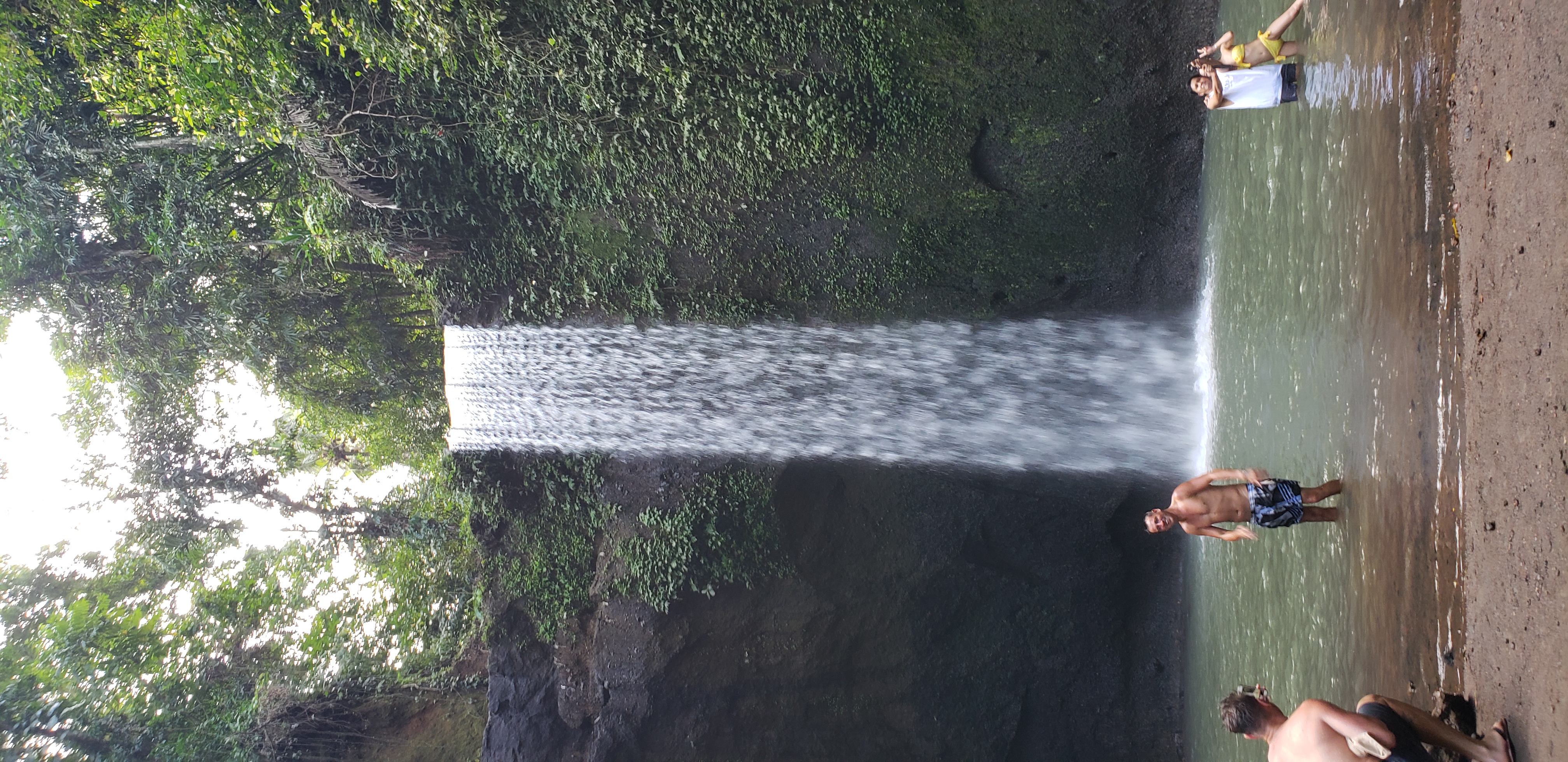 2018 Southeast Asia Trip Day 6 - Ubud, Bali, Indonesia (Mount Agung Volcano in Distance, Tegallalang Rice Terraces, Tirta Empul (Hindu Balinese Water Temple), Wearing Sarongs, Satria Agrowisata Coffee Plantation, Civet Cat Poop, Tibumana Waterfall)