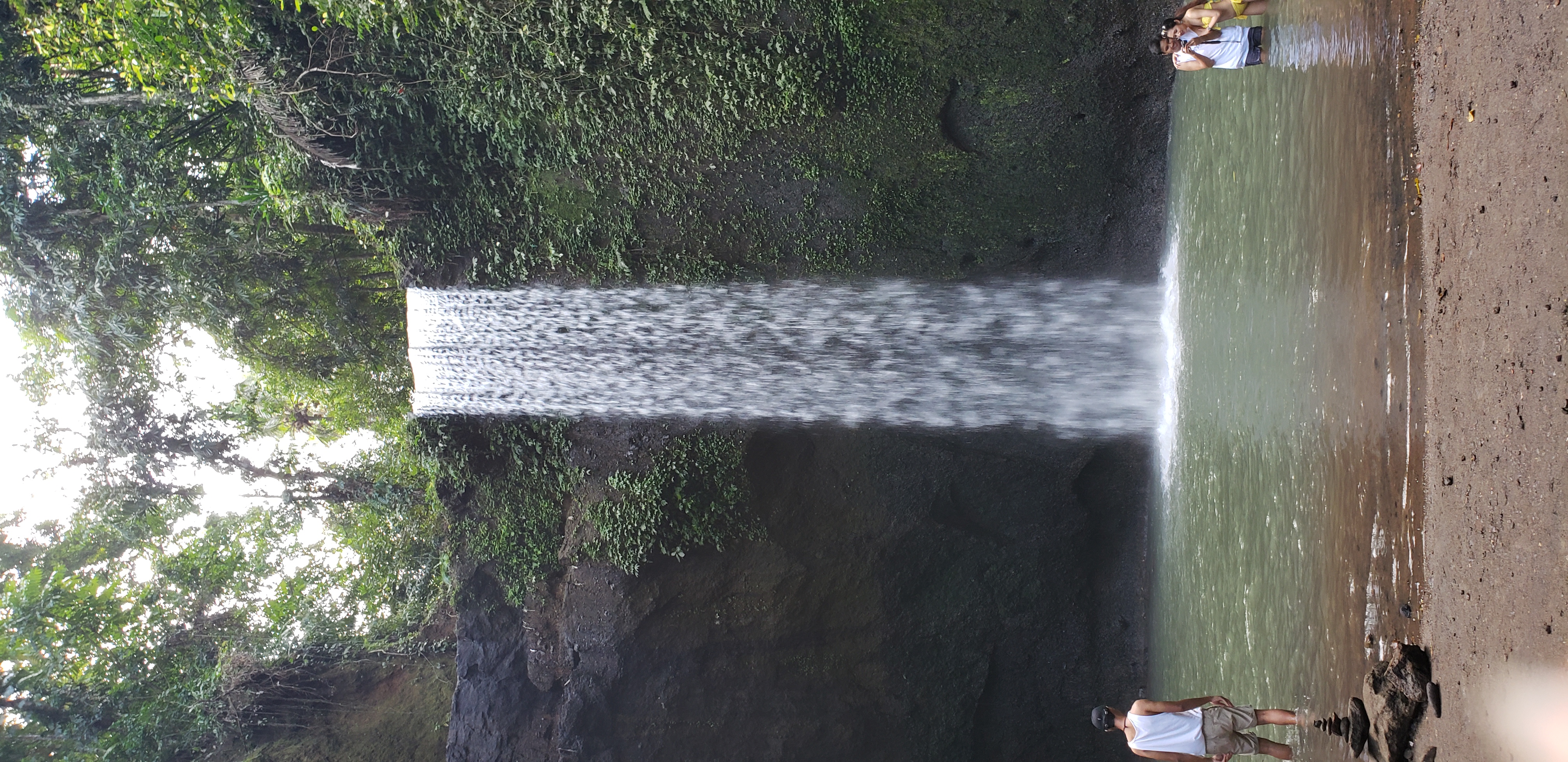 2018 Southeast Asia Trip Day 6 - Ubud, Bali, Indonesia (Mount Agung Volcano in Distance, Tegallalang Rice Terraces, Tirta Empul (Hindu Balinese Water Temple), Wearing Sarongs, Satria Agrowisata Coffee Plantation, Civet Cat Poop, Tibumana Waterfall)