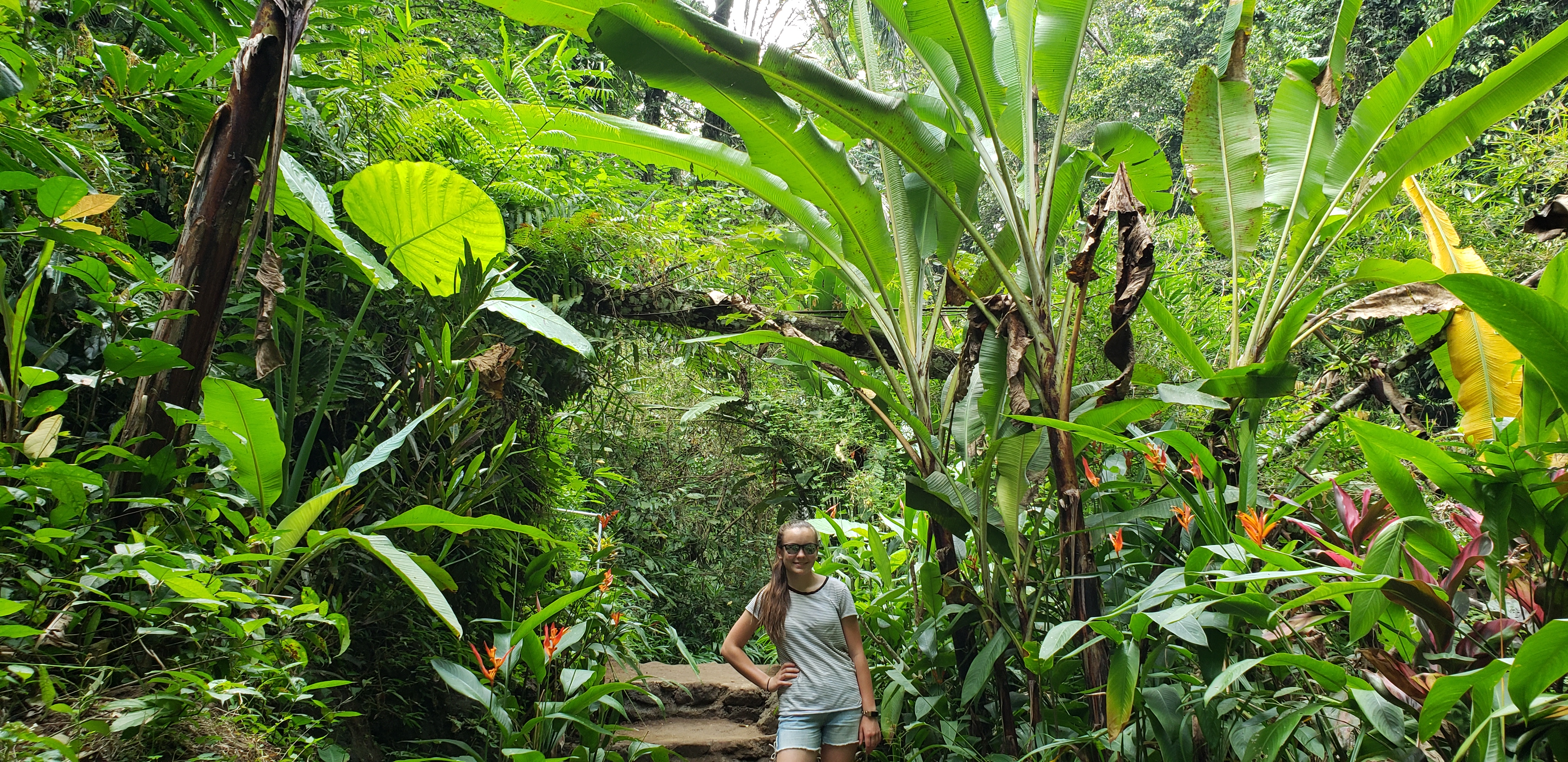 2018 Southeast Asia Trip Day 6 - Ubud, Bali, Indonesia (Mount Agung Volcano in Distance, Tegallalang Rice Terraces, Tirta Empul (Hindu Balinese Water Temple), Wearing Sarongs, Satria Agrowisata Coffee Plantation, Civet Cat Poop, Tibumana Waterfall)