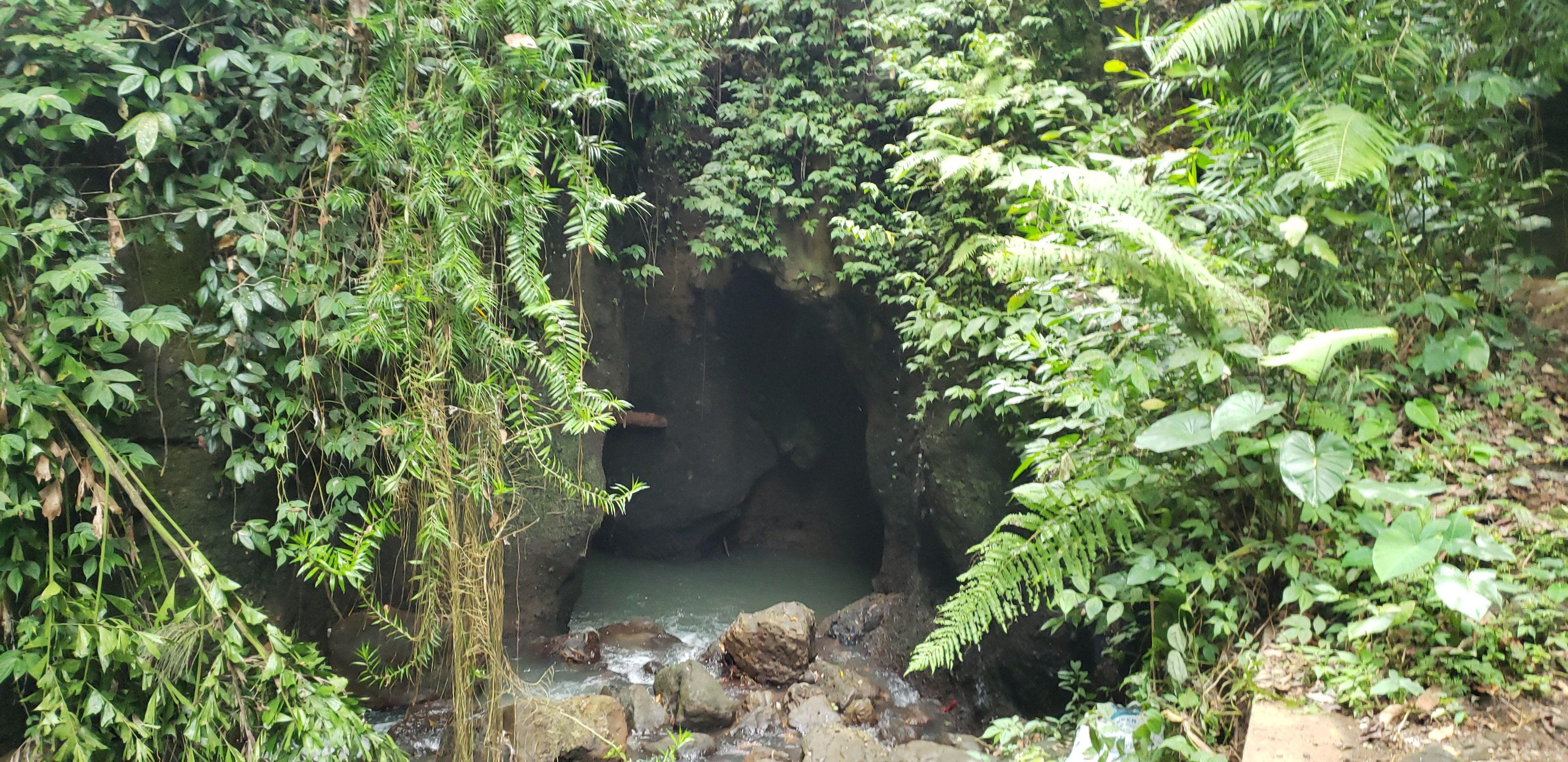 2018 Southeast Asia Trip Day 6 - Ubud, Bali, Indonesia (Mount Agung Volcano in Distance, Tegallalang Rice Terraces, Tirta Empul (Hindu Balinese Water Temple), Wearing Sarongs, Satria Agrowisata Coffee Plantation, Civet Cat Poop, Tibumana Waterfall)