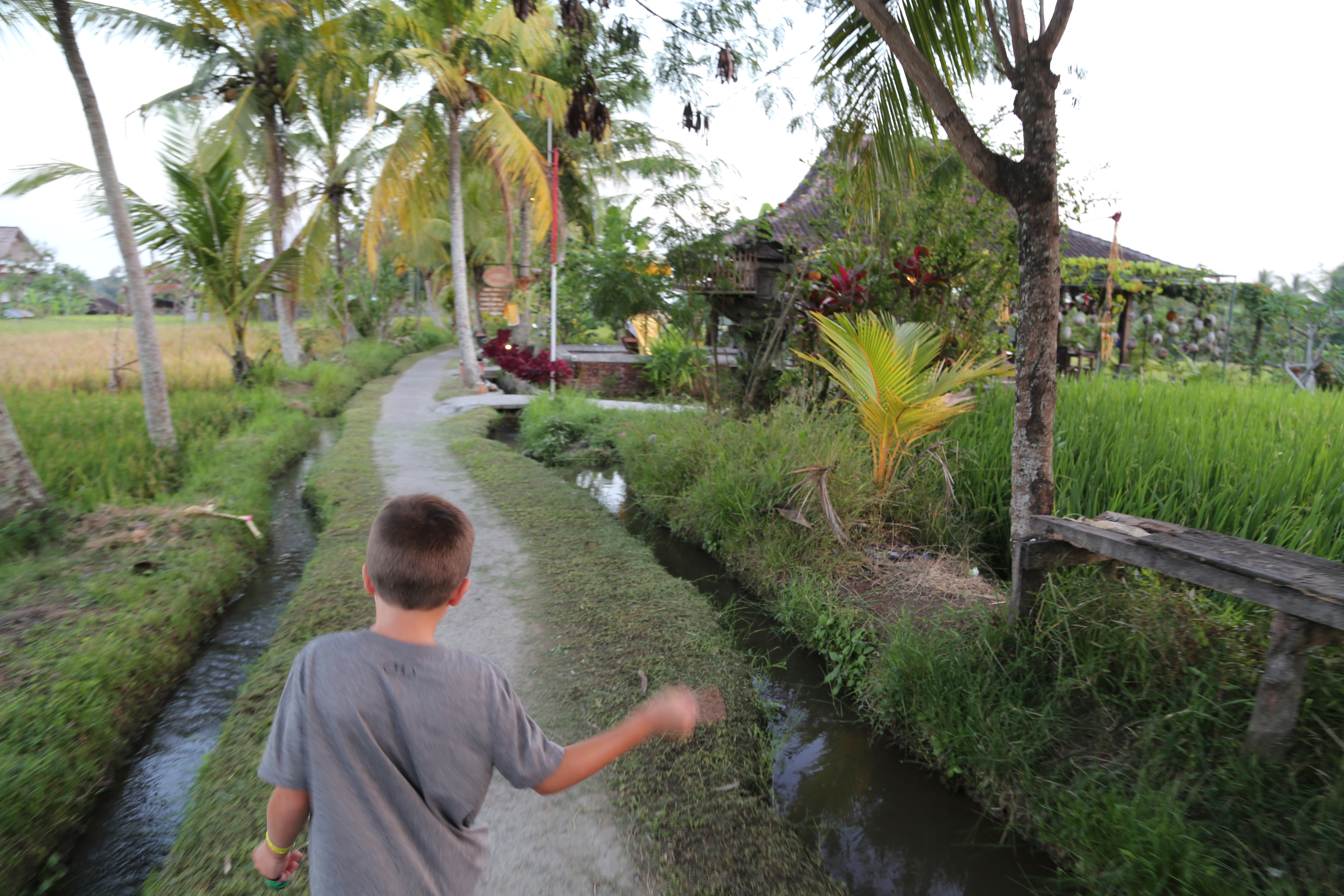 2018 Southesat Asia Trip Day 4 - Ubud, Bali, Indonesia (Satori Villas - Wayan & Ketut, Ubud Rice Fields, Fireflies, Sweet Orange Warung, Geckos, Swimming at the Villa)