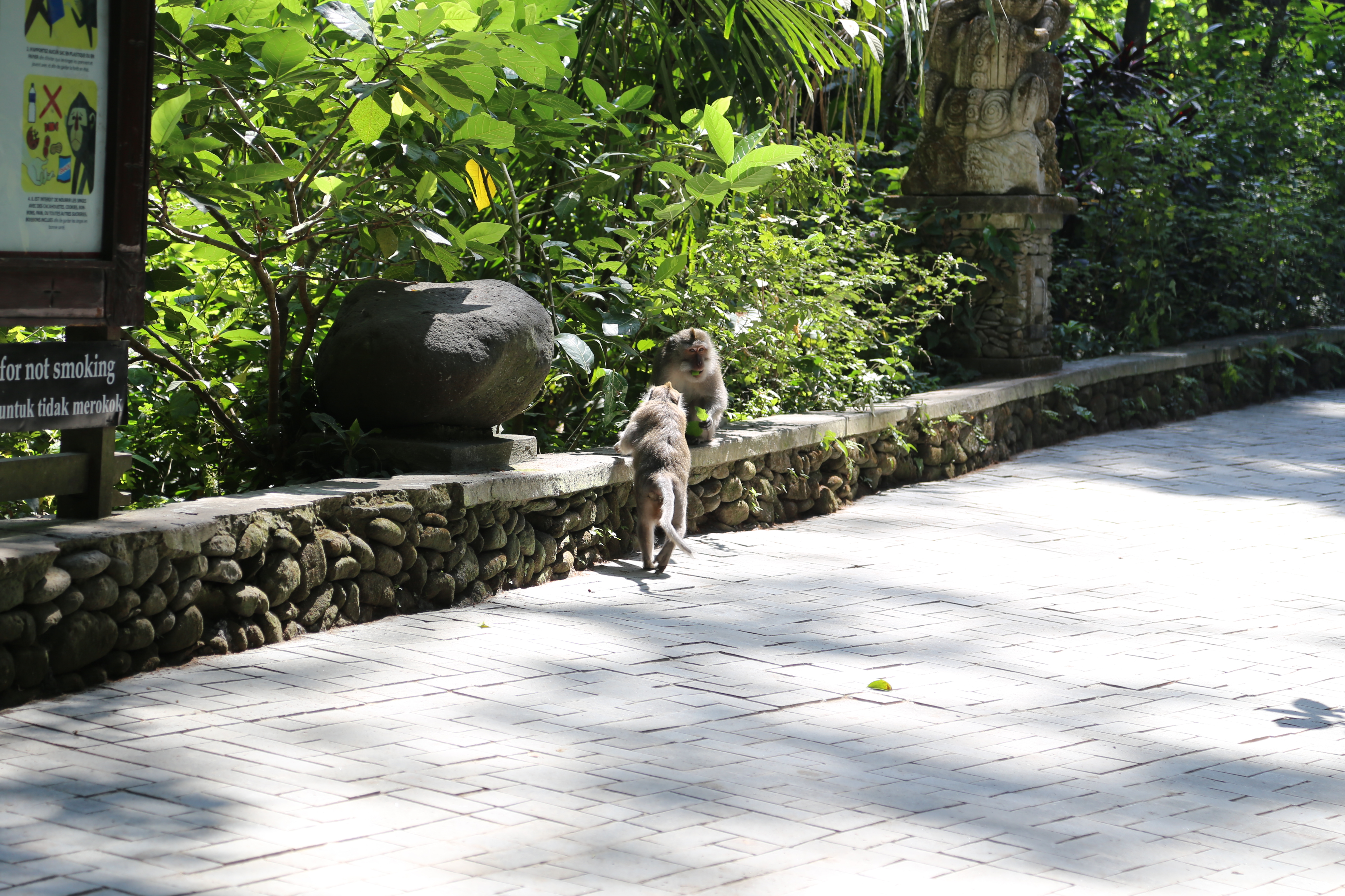 2018 Southeast Asia Trip Day 5 - Ubud, Bali, Indonesia (Breakfast at the Villa, Balinese Offerings (Canang Sari), Ubud Sacred Monkey Forest Sanctuary, Getting Attacked By Monkeys, Three Monkeys Restaurant, Ubud Palace,  Spa, Kecak Fire & Trance Dance)