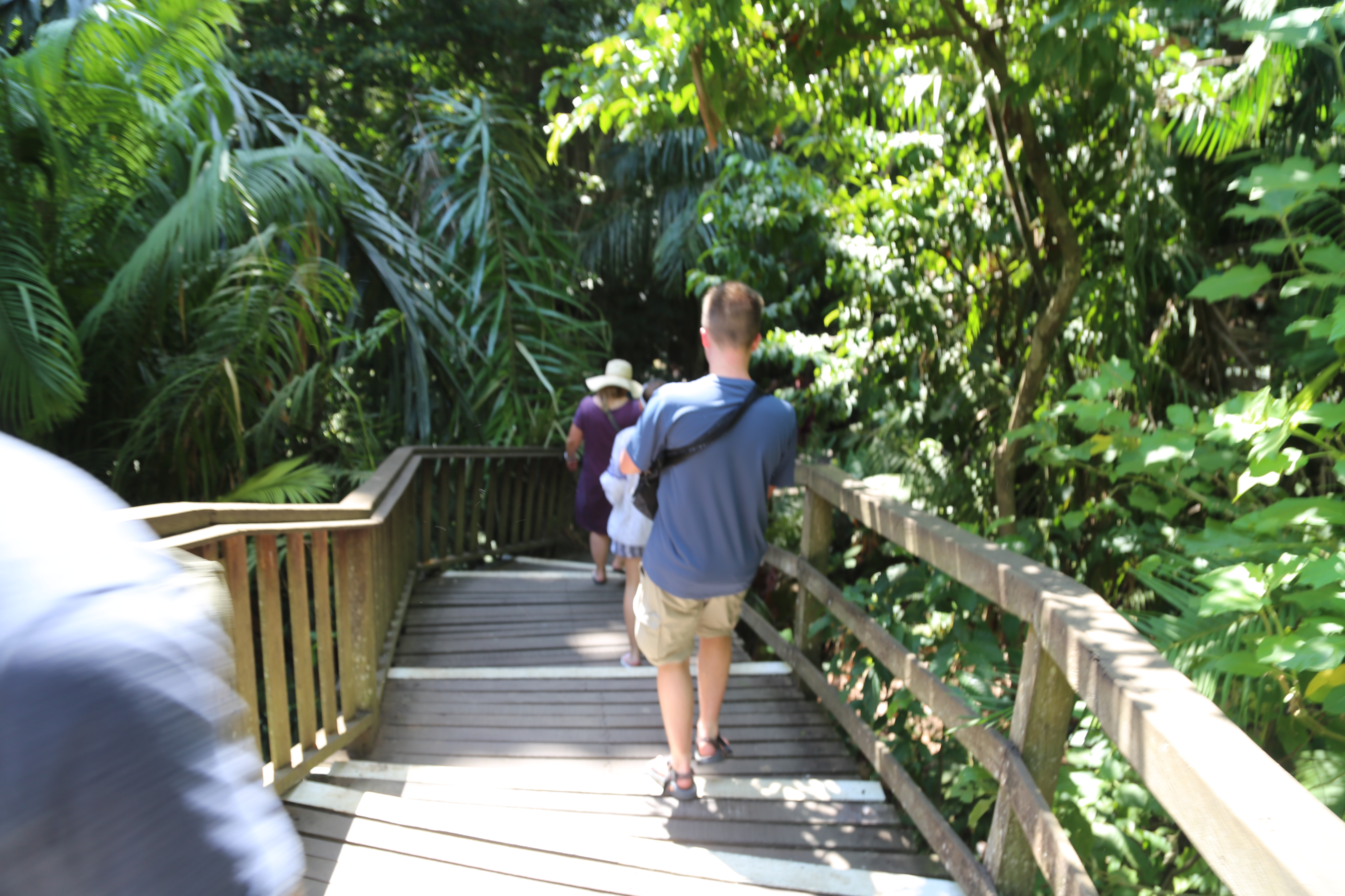 2018 Southeast Asia Trip Day 5 - Ubud, Bali, Indonesia (Breakfast at the Villa, Balinese Offerings (Canang Sari), Ubud Sacred Monkey Forest Sanctuary, Getting Attacked By Monkeys, Three Monkeys Restaurant, Ubud Palace,  Spa, Kecak Fire & Trance Dance)