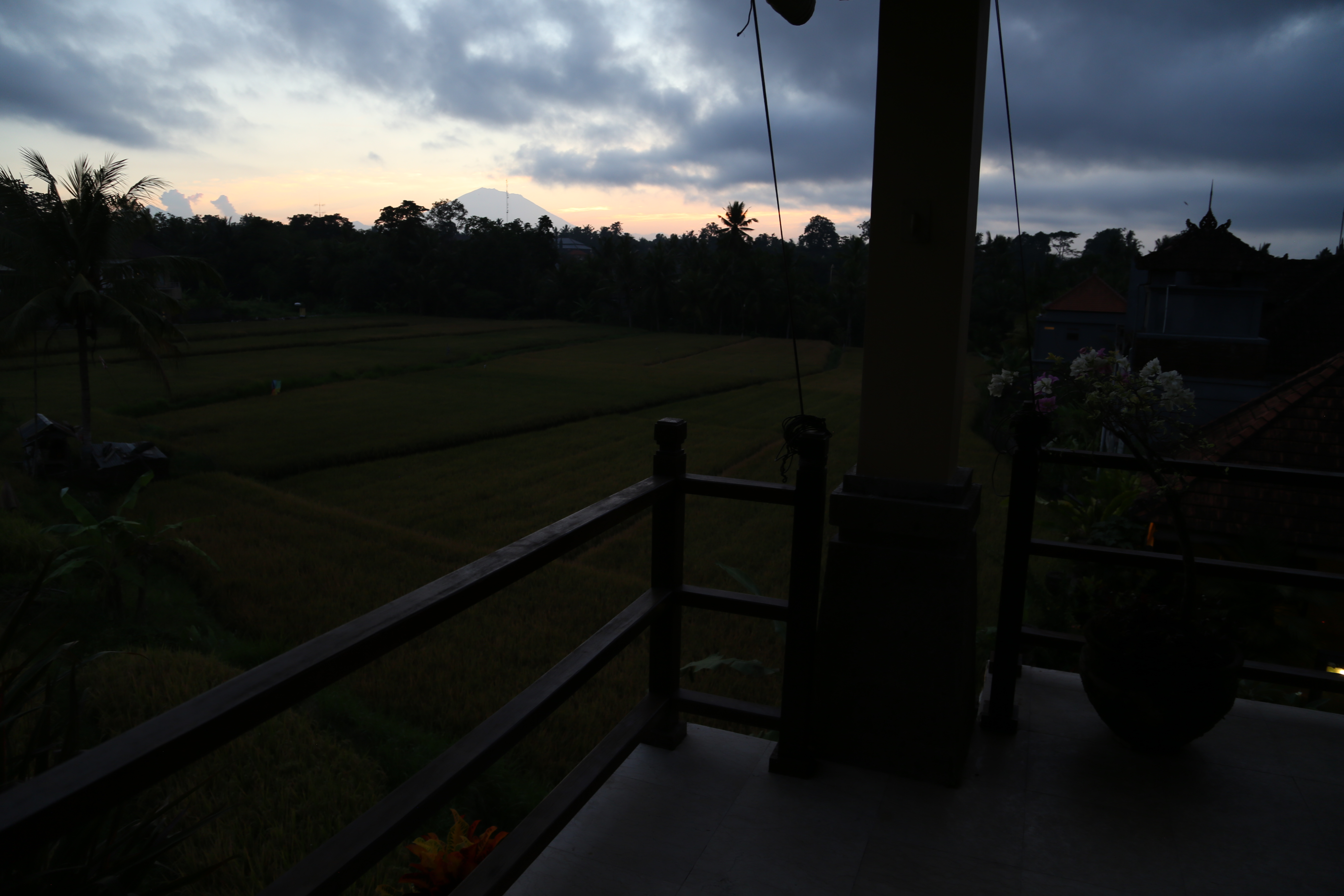 2018 Southeast Asia Trip Day 6 - Ubud, Bali, Indonesia (Mount Agung Volcano in Distance, Tegallalang Rice Terraces, Tirta Empul (Hindu Balinese Water Temple), Wearing Sarongs, Satria Agrowisata Coffee Plantation, Civet Cat Poop, Tibumana Waterfall)