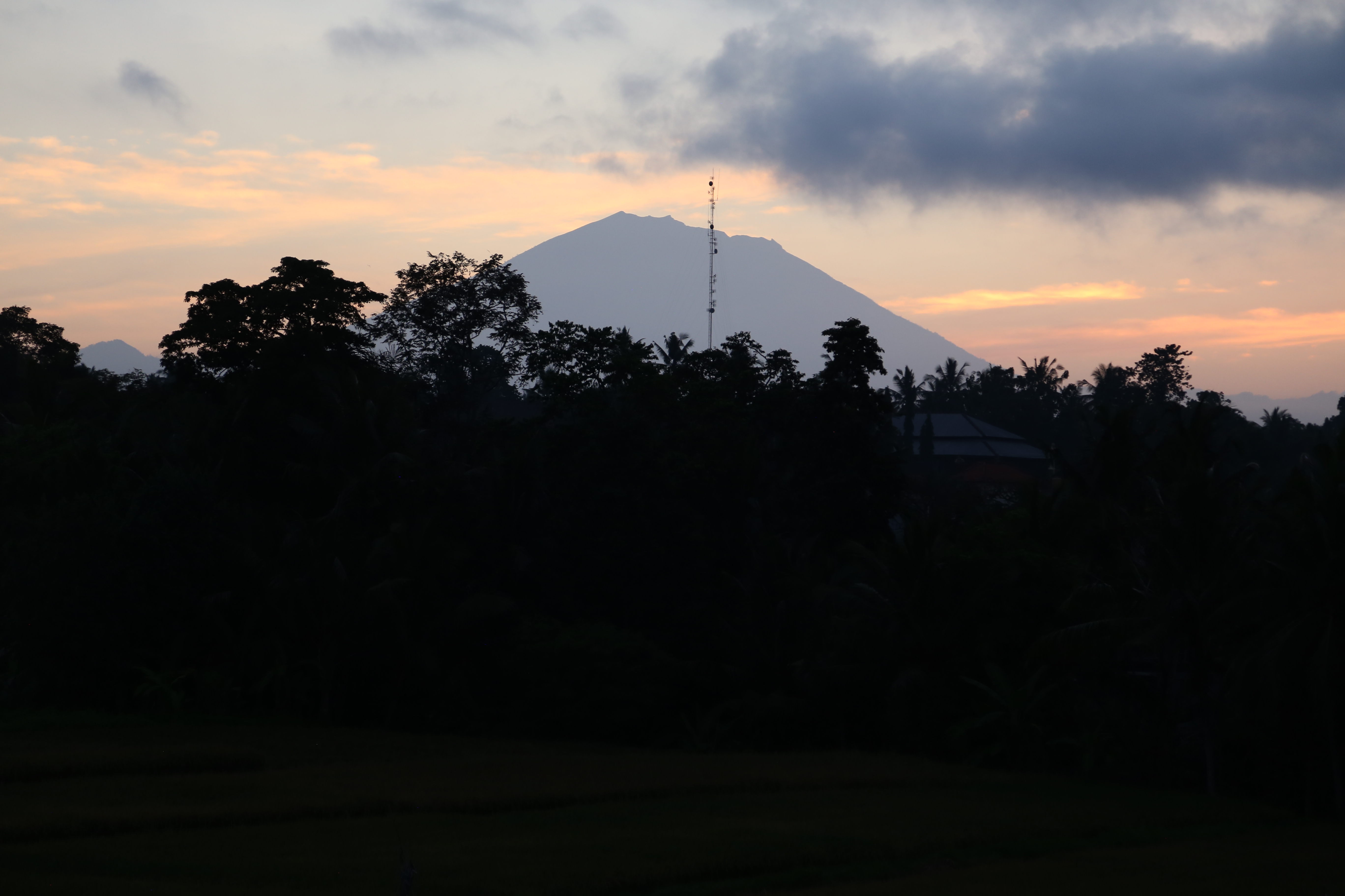 2018 Southeast Asia Trip Day 6 - Ubud, Bali, Indonesia (Mount Agung Volcano in Distance, Tegallalang Rice Terraces, Tirta Empul (Hindu Balinese Water Temple), Wearing Sarongs, Satria Agrowisata Coffee Plantation, Civet Cat Poop, Tibumana Waterfall)