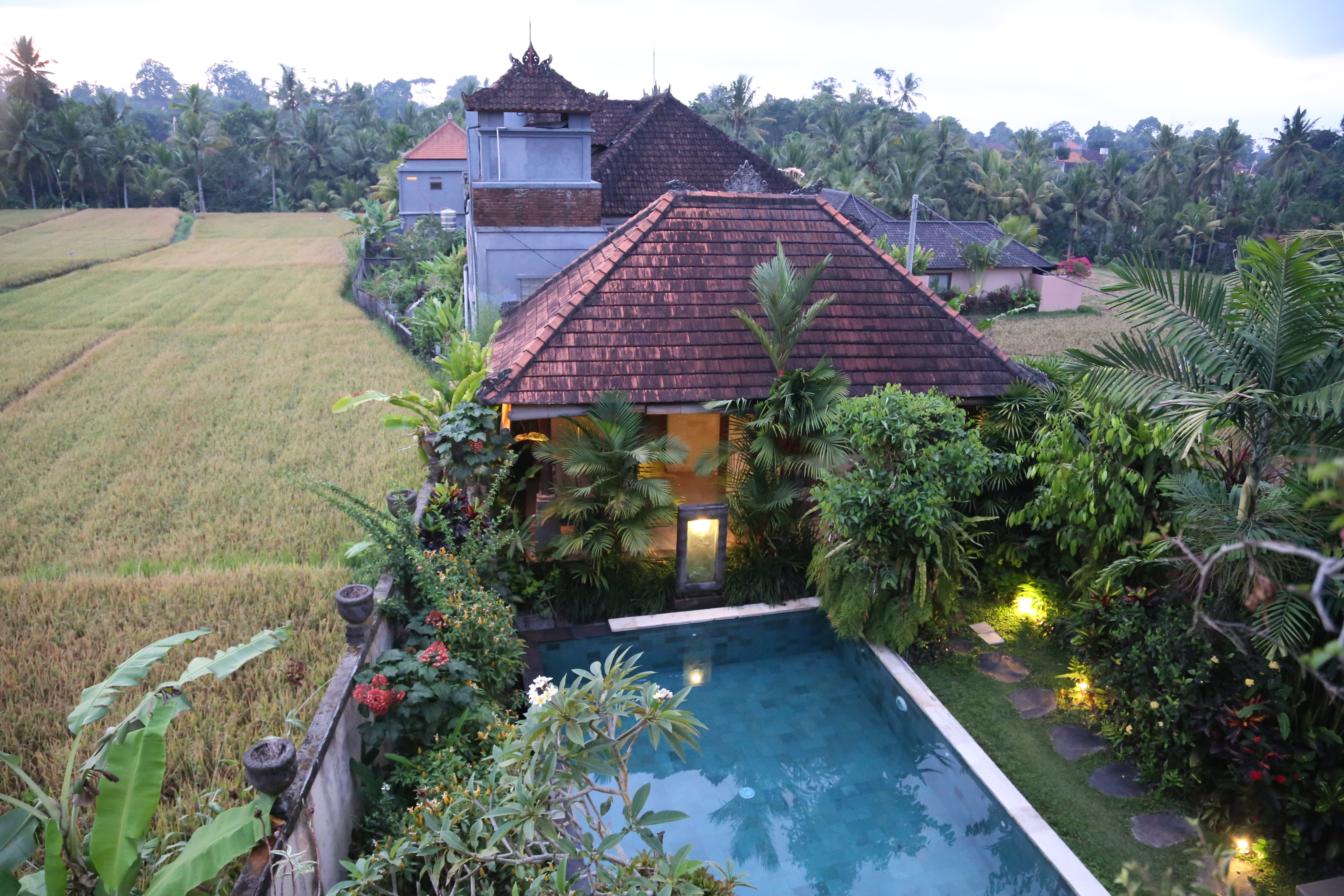 2018 Southeast Asia Trip Day 6 - Ubud, Bali, Indonesia (Mount Agung Volcano in Distance, Tegallalang Rice Terraces, Tirta Empul (Hindu Balinese Water Temple), Wearing Sarongs, Satria Agrowisata Coffee Plantation, Civet Cat Poop, Tibumana Waterfall)