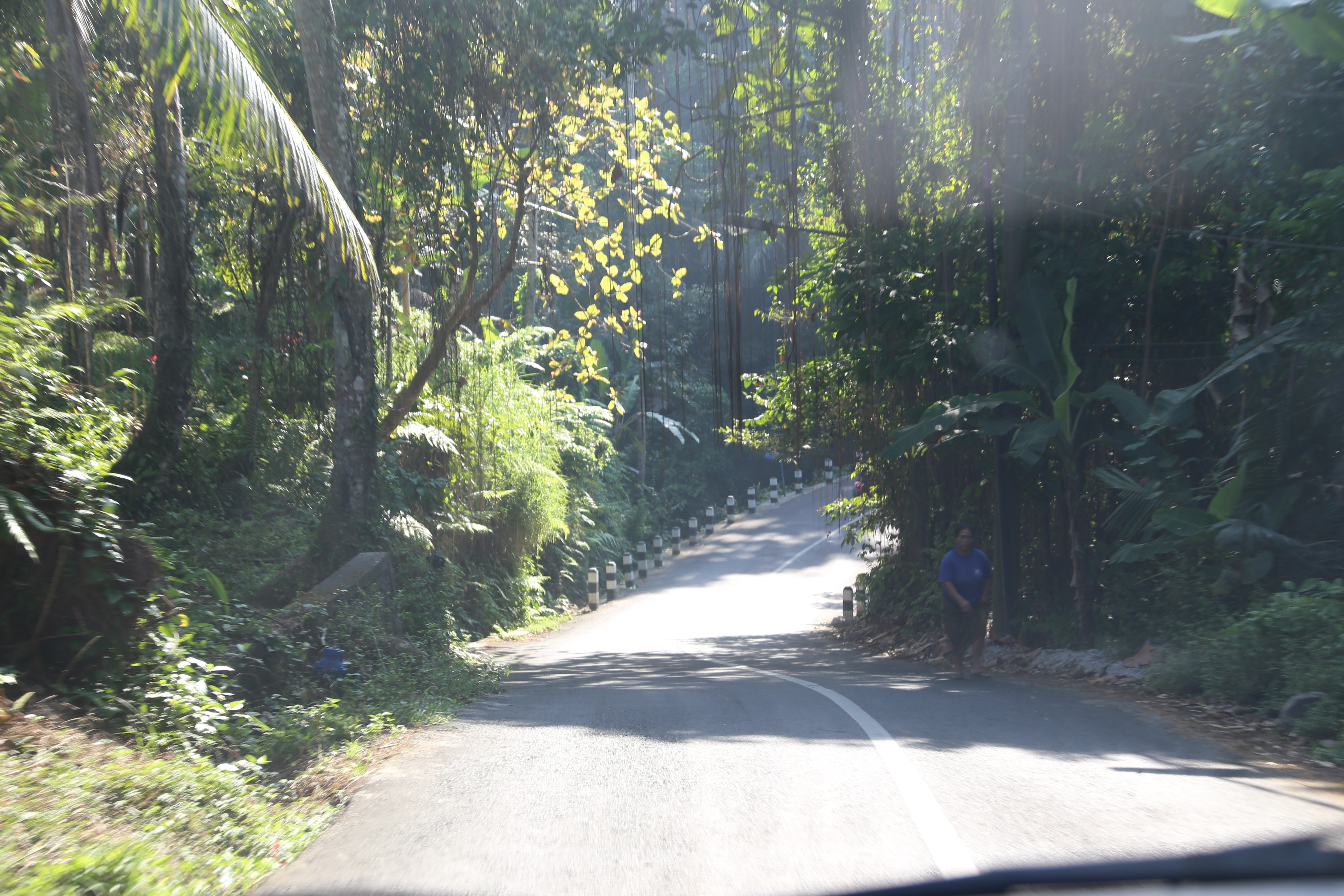 2018 Southeast Asia Trip Day 6 - Ubud, Bali, Indonesia (Mount Agung Volcano in Distance, Tegallalang Rice Terraces, Tirta Empul (Hindu Balinese Water Temple), Wearing Sarongs, Satria Agrowisata Coffee Plantation, Civet Cat Poop, Tibumana Waterfall)