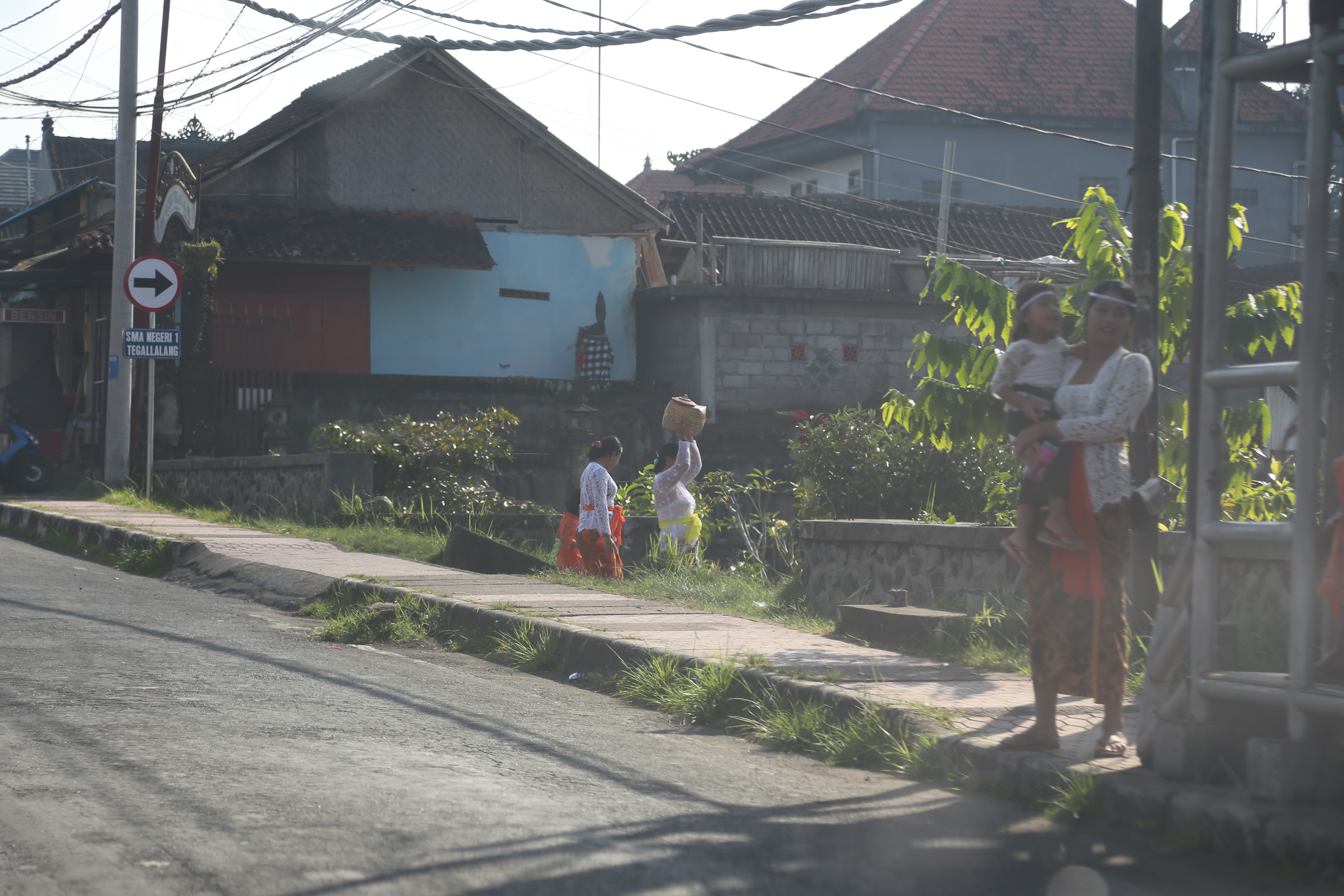 2018 Southeast Asia Trip Day 6 - Ubud, Bali, Indonesia (Mount Agung Volcano in Distance, Tegallalang Rice Terraces, Tirta Empul (Hindu Balinese Water Temple), Wearing Sarongs, Satria Agrowisata Coffee Plantation, Civet Cat Poop, Tibumana Waterfall)