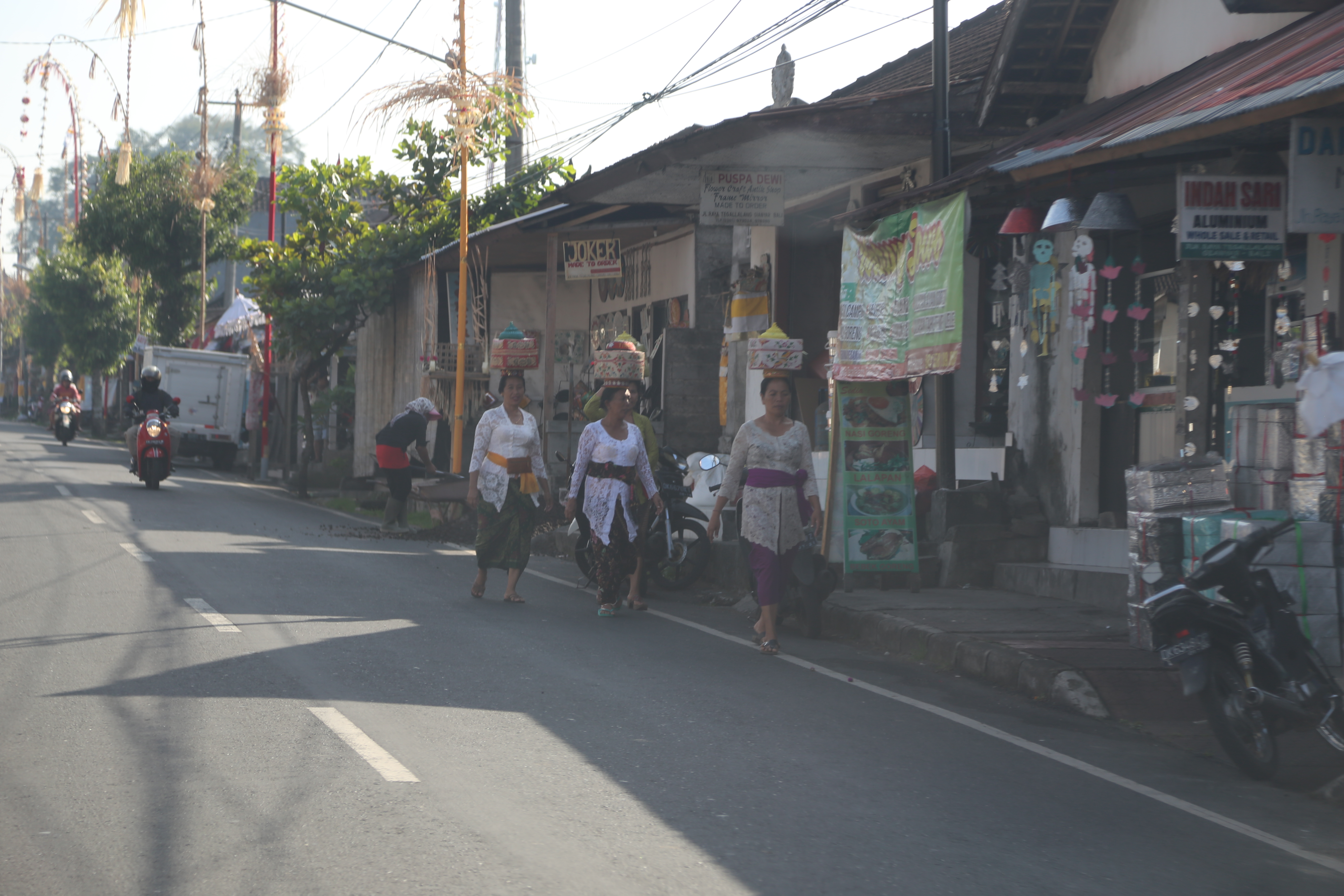 2018 Southeast Asia Trip Day 6 - Ubud, Bali, Indonesia (Mount Agung Volcano in Distance, Tegallalang Rice Terraces, Tirta Empul (Hindu Balinese Water Temple), Wearing Sarongs, Satria Agrowisata Coffee Plantation, Civet Cat Poop, Tibumana Waterfall)