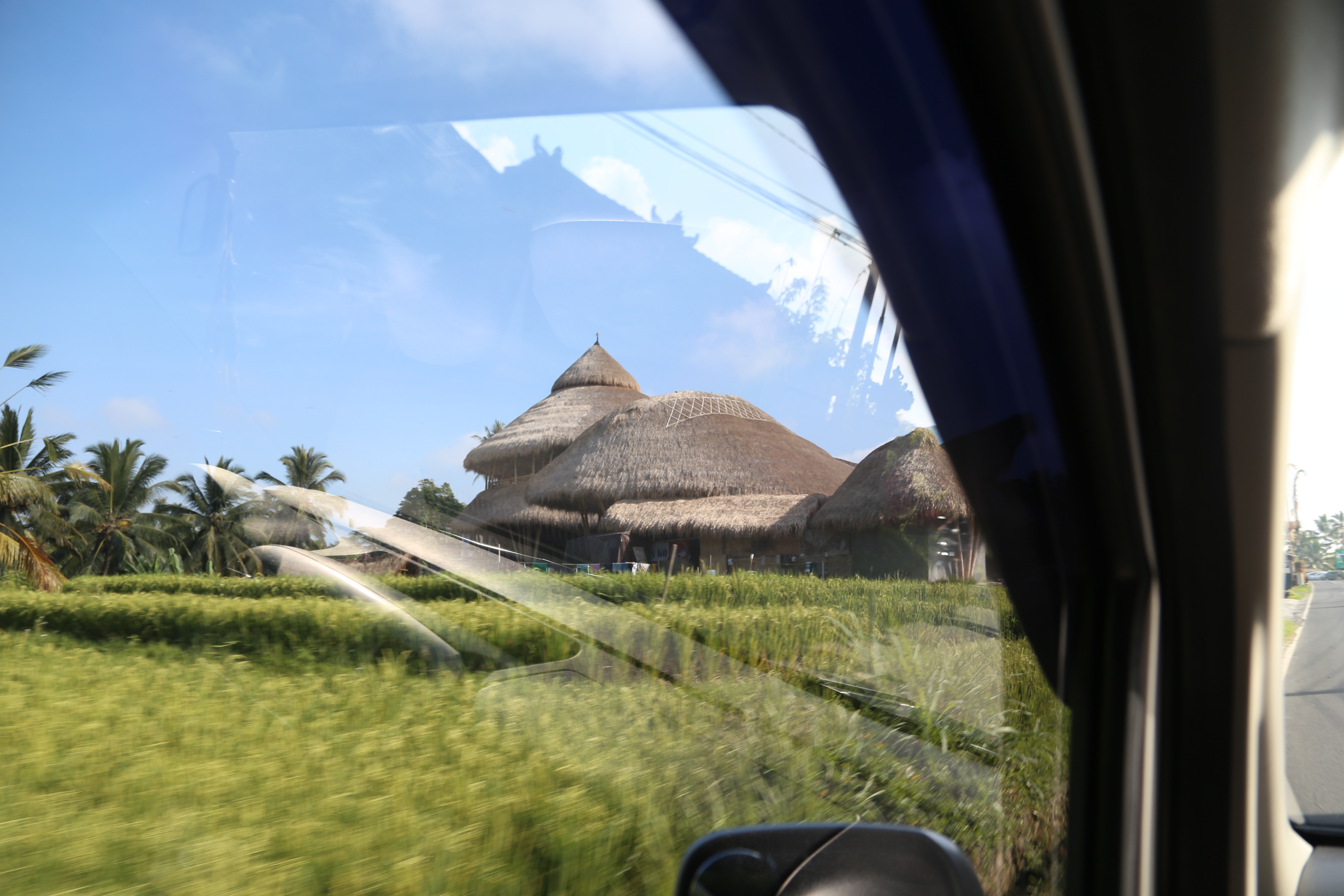 2018 Southeast Asia Trip Day 6 - Ubud, Bali, Indonesia (Mount Agung Volcano in Distance, Tegallalang Rice Terraces, Tirta Empul (Hindu Balinese Water Temple), Wearing Sarongs, Satria Agrowisata Coffee Plantation, Civet Cat Poop, Tibumana Waterfall)