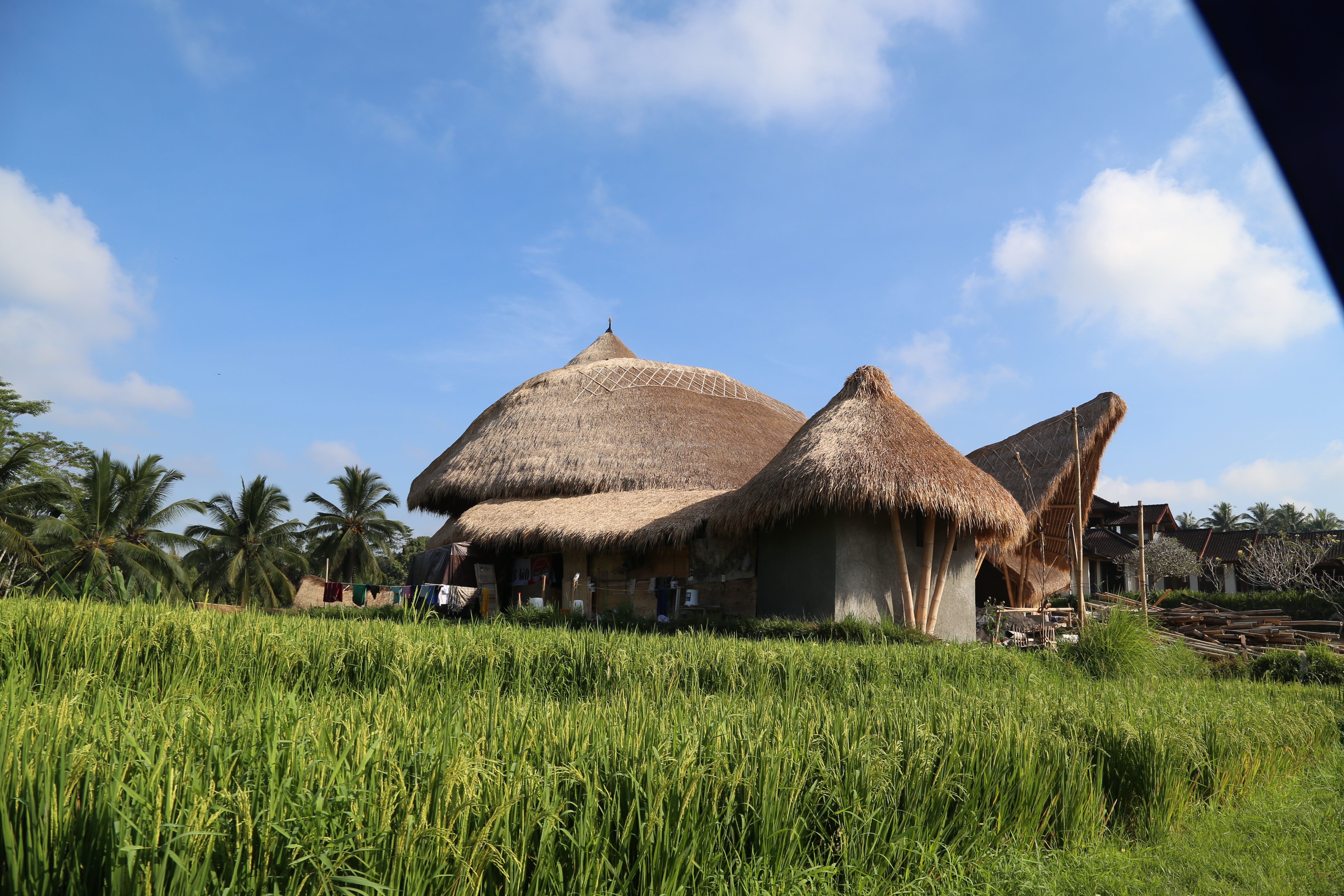 2018 Southeast Asia Trip Day 6 - Ubud, Bali, Indonesia (Mount Agung Volcano in Distance, Tegallalang Rice Terraces, Tirta Empul (Hindu Balinese Water Temple), Wearing Sarongs, Satria Agrowisata Coffee Plantation, Civet Cat Poop, Tibumana Waterfall)