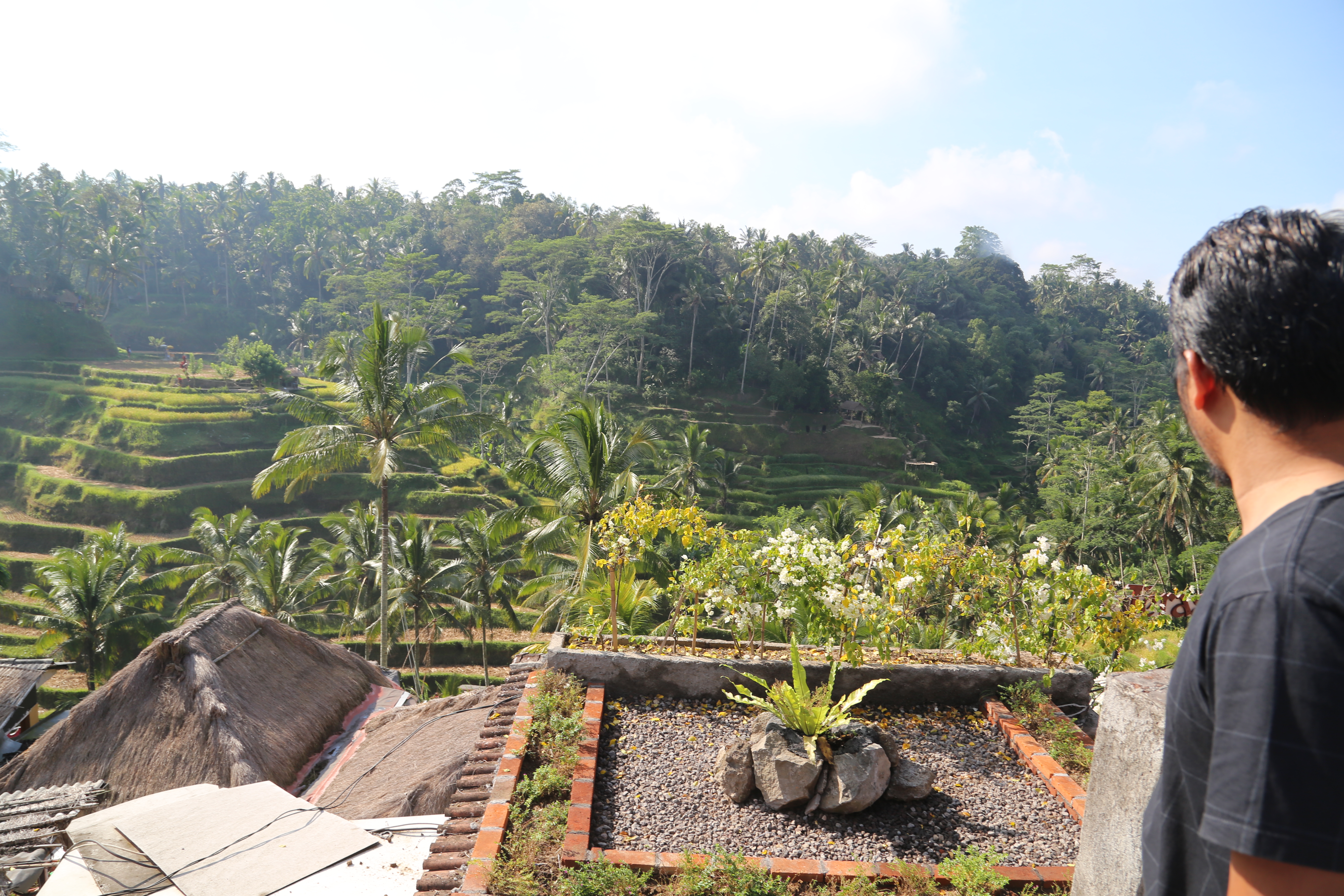 2018 Southeast Asia Trip Day 6 - Ubud, Bali, Indonesia (Mount Agung Volcano in Distance, Tegallalang Rice Terraces, Tirta Empul (Hindu Balinese Water Temple), Wearing Sarongs, Satria Agrowisata Coffee Plantation, Civet Cat Poop, Tibumana Waterfall)