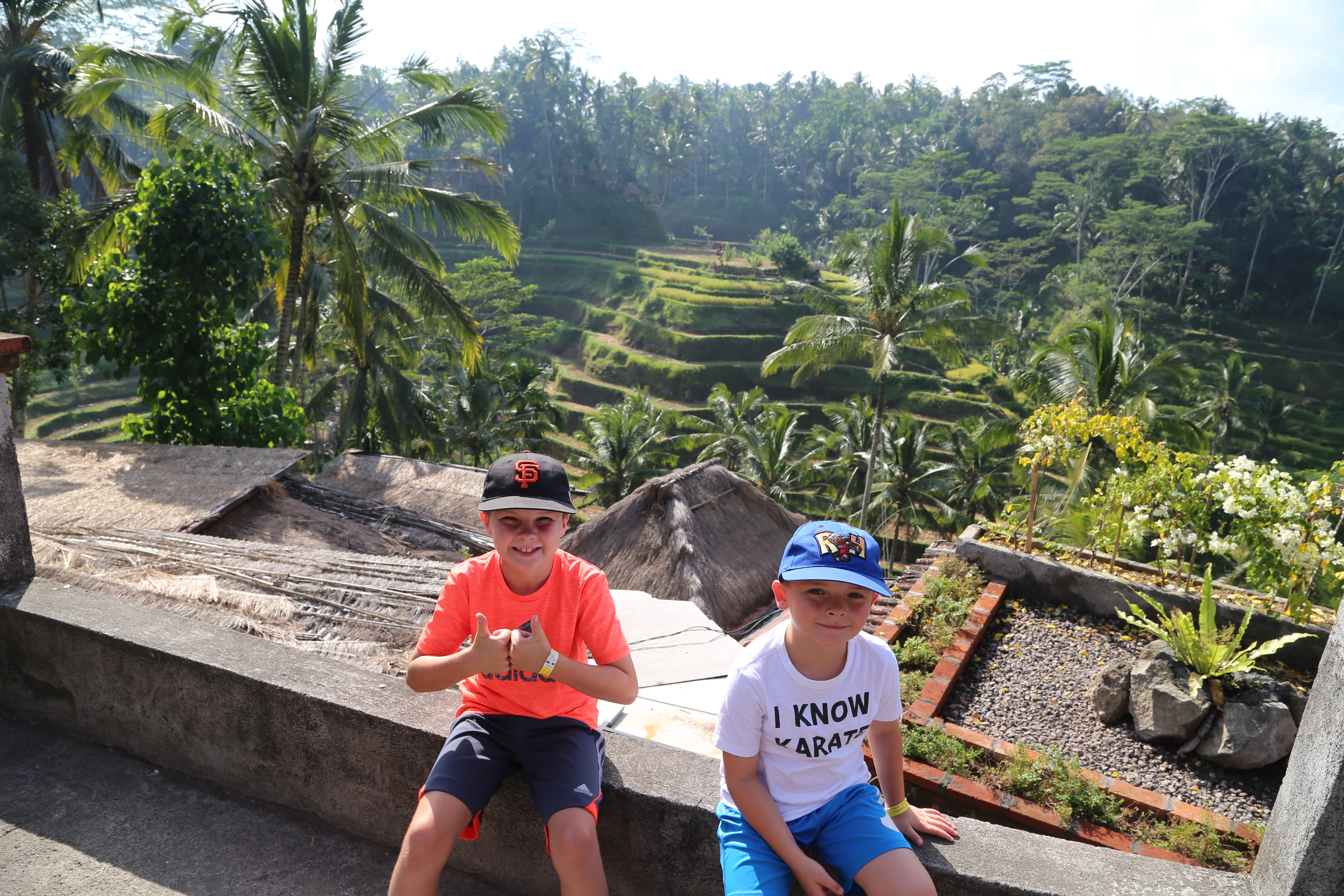 2018 Southeast Asia Trip Day 6 - Ubud, Bali, Indonesia (Mount Agung Volcano in Distance, Tegallalang Rice Terraces, Tirta Empul (Hindu Balinese Water Temple), Wearing Sarongs, Satria Agrowisata Coffee Plantation, Civet Cat Poop, Tibumana Waterfall)