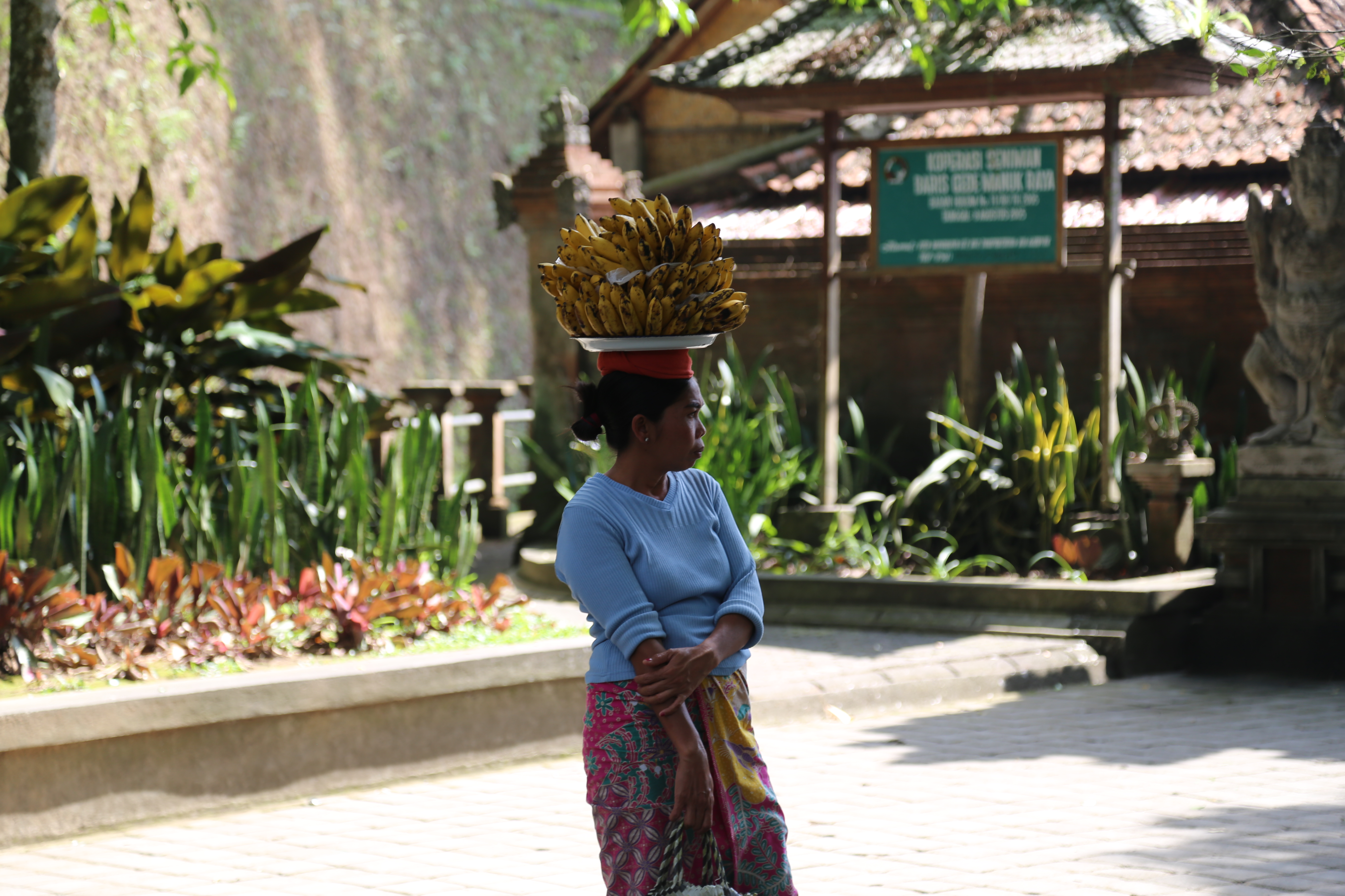 2018 Southeast Asia Trip Day 6 - Ubud, Bali, Indonesia (Mount Agung Volcano in Distance, Tegallalang Rice Terraces, Tirta Empul (Hindu Balinese Water Temple), Wearing Sarongs, Satria Agrowisata Coffee Plantation, Civet Cat Poop, Tibumana Waterfall)