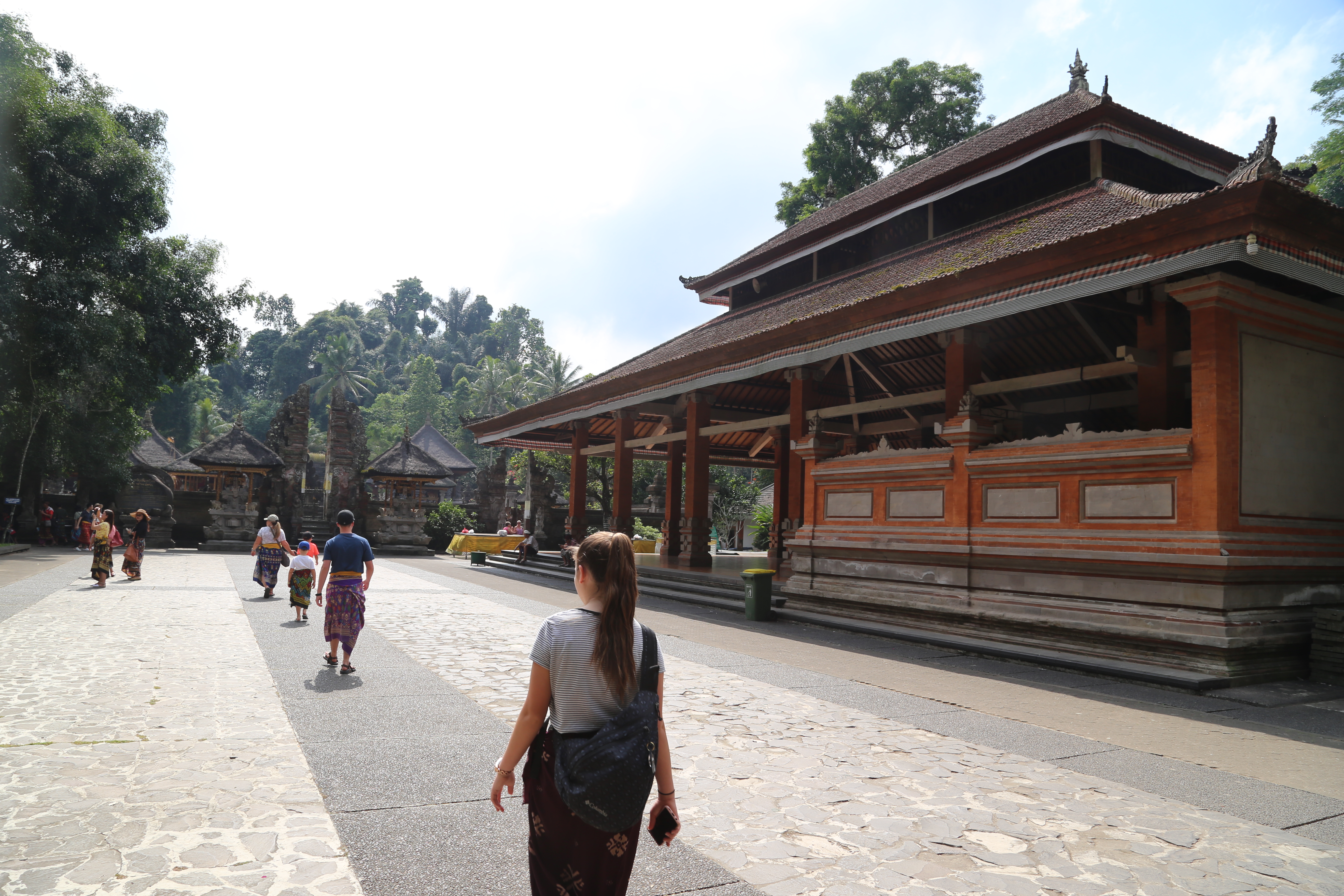 2018 Southeast Asia Trip Day 6 - Ubud, Bali, Indonesia (Mount Agung Volcano in Distance, Tegallalang Rice Terraces, Tirta Empul (Hindu Balinese Water Temple), Wearing Sarongs, Satria Agrowisata Coffee Plantation, Civet Cat Poop, Tibumana Waterfall)