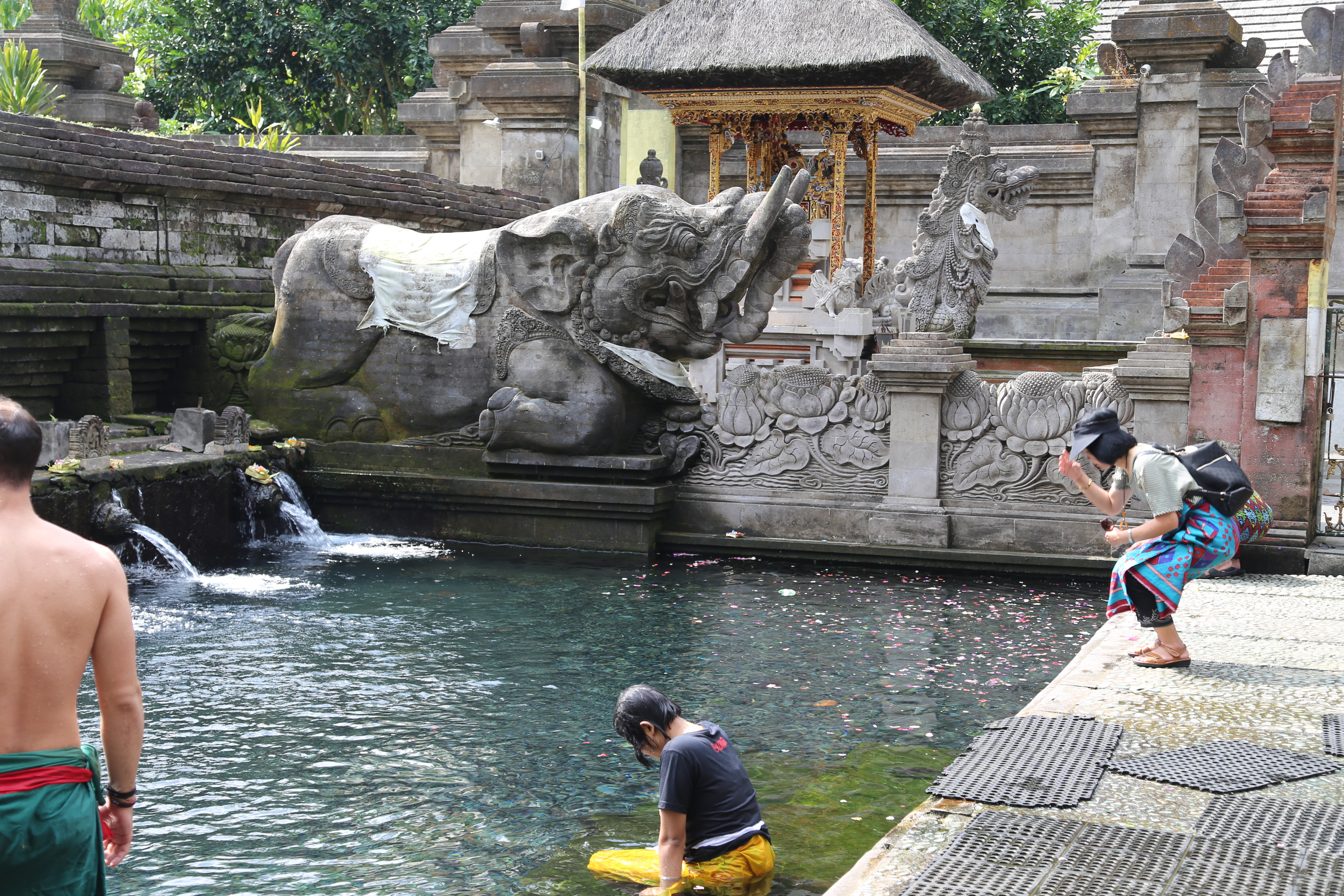 2018 Southeast Asia Trip Day 6 - Ubud, Bali, Indonesia (Mount Agung Volcano in Distance, Tegallalang Rice Terraces, Tirta Empul (Hindu Balinese Water Temple), Wearing Sarongs, Satria Agrowisata Coffee Plantation, Civet Cat Poop, Tibumana Waterfall)