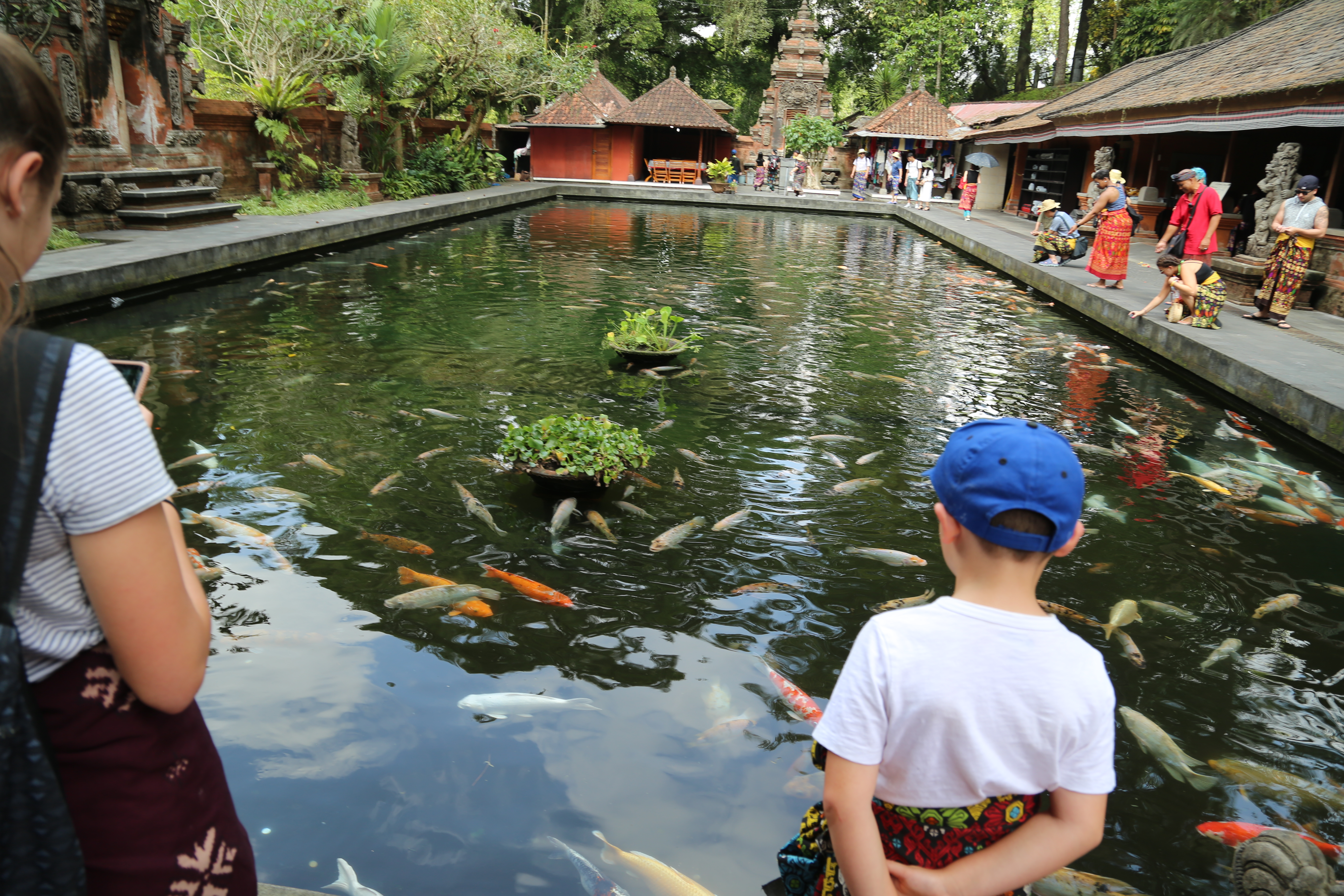 2018 Southeast Asia Trip Day 6 - Ubud, Bali, Indonesia (Mount Agung Volcano in Distance, Tegallalang Rice Terraces, Tirta Empul (Hindu Balinese Water Temple), Wearing Sarongs, Satria Agrowisata Coffee Plantation, Civet Cat Poop, Tibumana Waterfall)