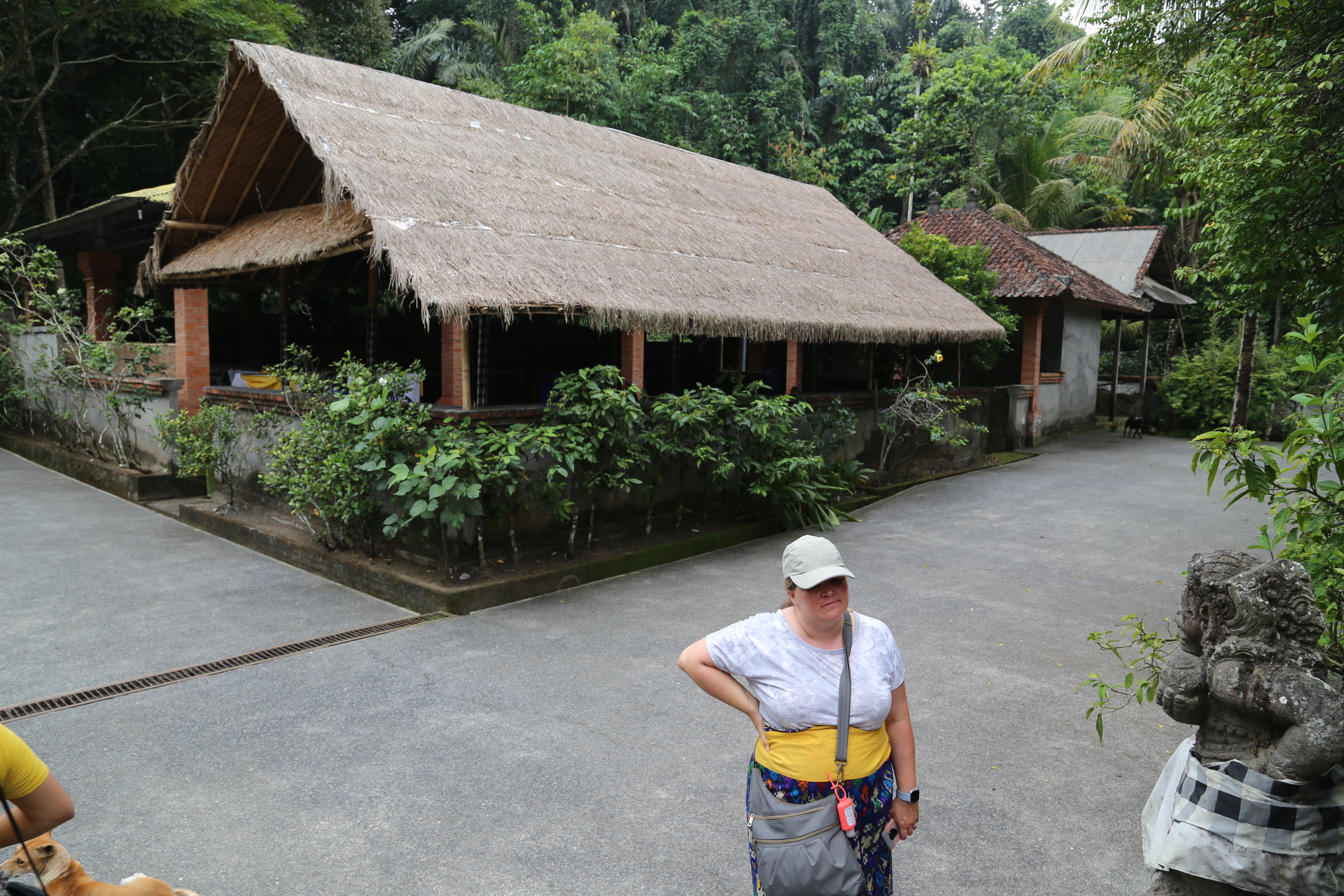 2018 Southeast Asia Trip Day 6 - Ubud, Bali, Indonesia (Mount Agung Volcano in Distance, Tegallalang Rice Terraces, Tirta Empul (Hindu Balinese Water Temple), Wearing Sarongs, Satria Agrowisata Coffee Plantation, Civet Cat Poop, Tibumana Waterfall)