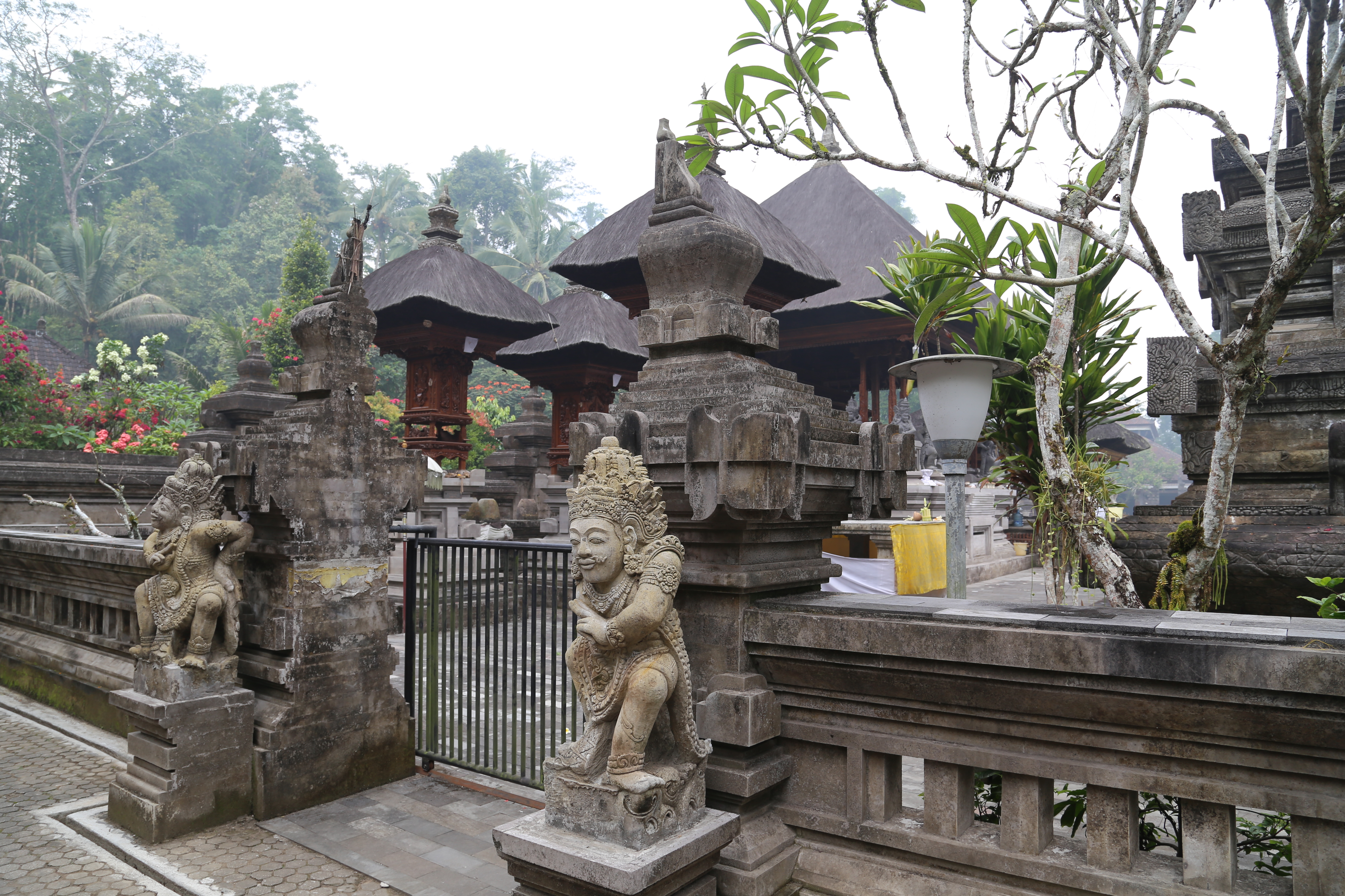 2018 Southeast Asia Trip Day 6 - Ubud, Bali, Indonesia (Mount Agung Volcano in Distance, Tegallalang Rice Terraces, Tirta Empul (Hindu Balinese Water Temple), Wearing Sarongs, Satria Agrowisata Coffee Plantation, Civet Cat Poop, Tibumana Waterfall)