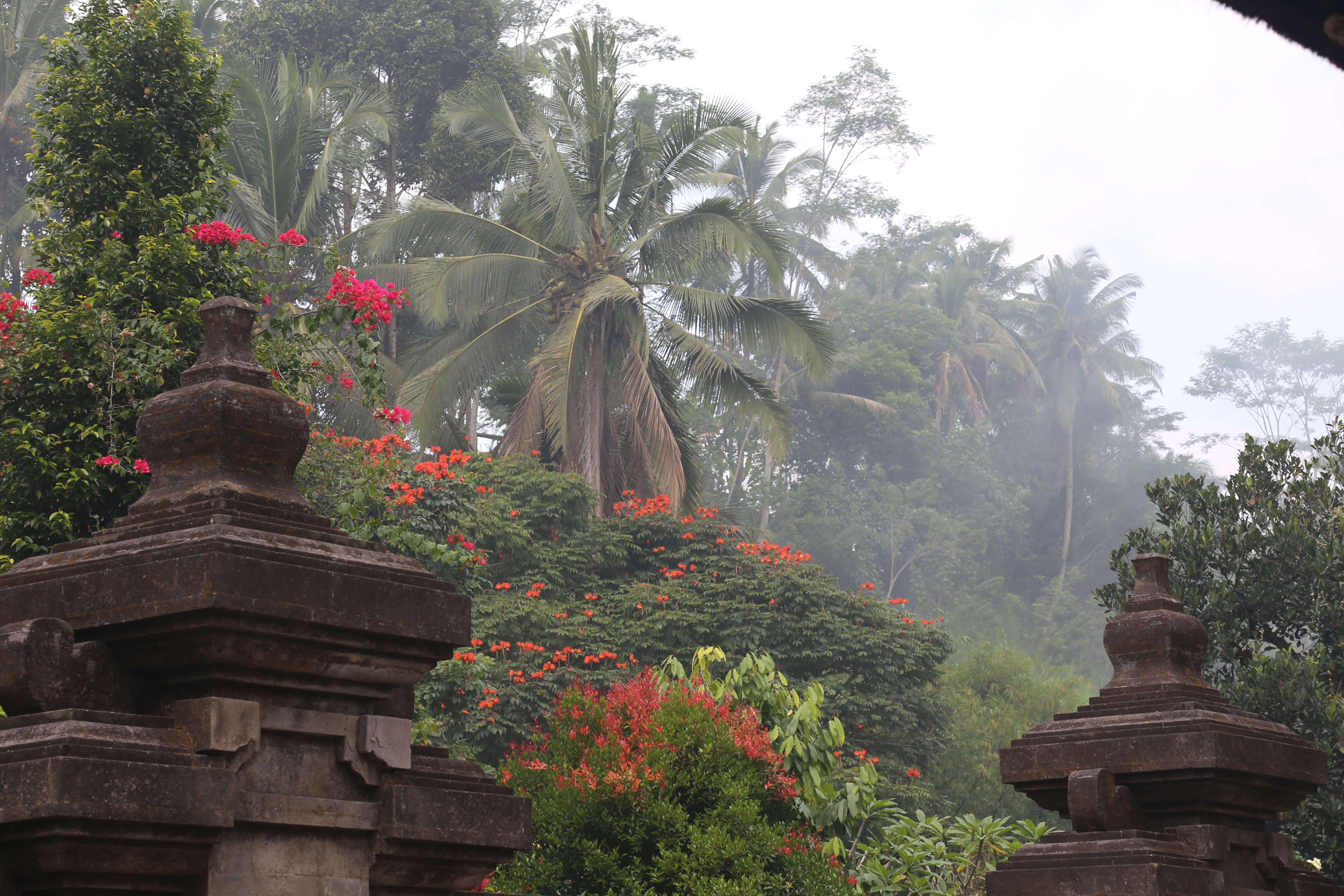 2018 Southeast Asia Trip Day 6 - Ubud, Bali, Indonesia (Mount Agung Volcano in Distance, Tegallalang Rice Terraces, Tirta Empul (Hindu Balinese Water Temple), Wearing Sarongs, Satria Agrowisata Coffee Plantation, Civet Cat Poop, Tibumana Waterfall)