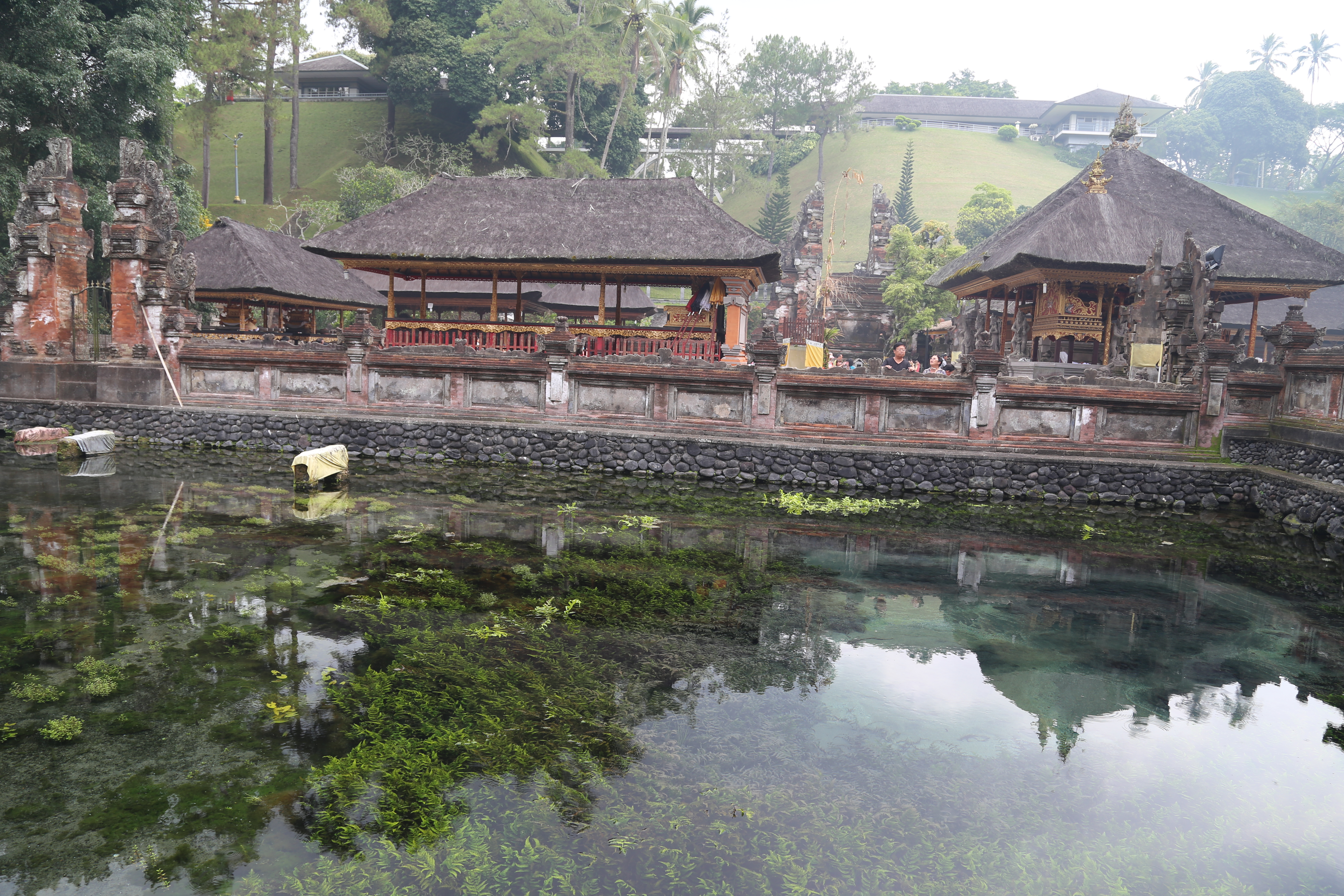 2018 Southeast Asia Trip Day 6 - Ubud, Bali, Indonesia (Mount Agung Volcano in Distance, Tegallalang Rice Terraces, Tirta Empul (Hindu Balinese Water Temple), Wearing Sarongs, Satria Agrowisata Coffee Plantation, Civet Cat Poop, Tibumana Waterfall)