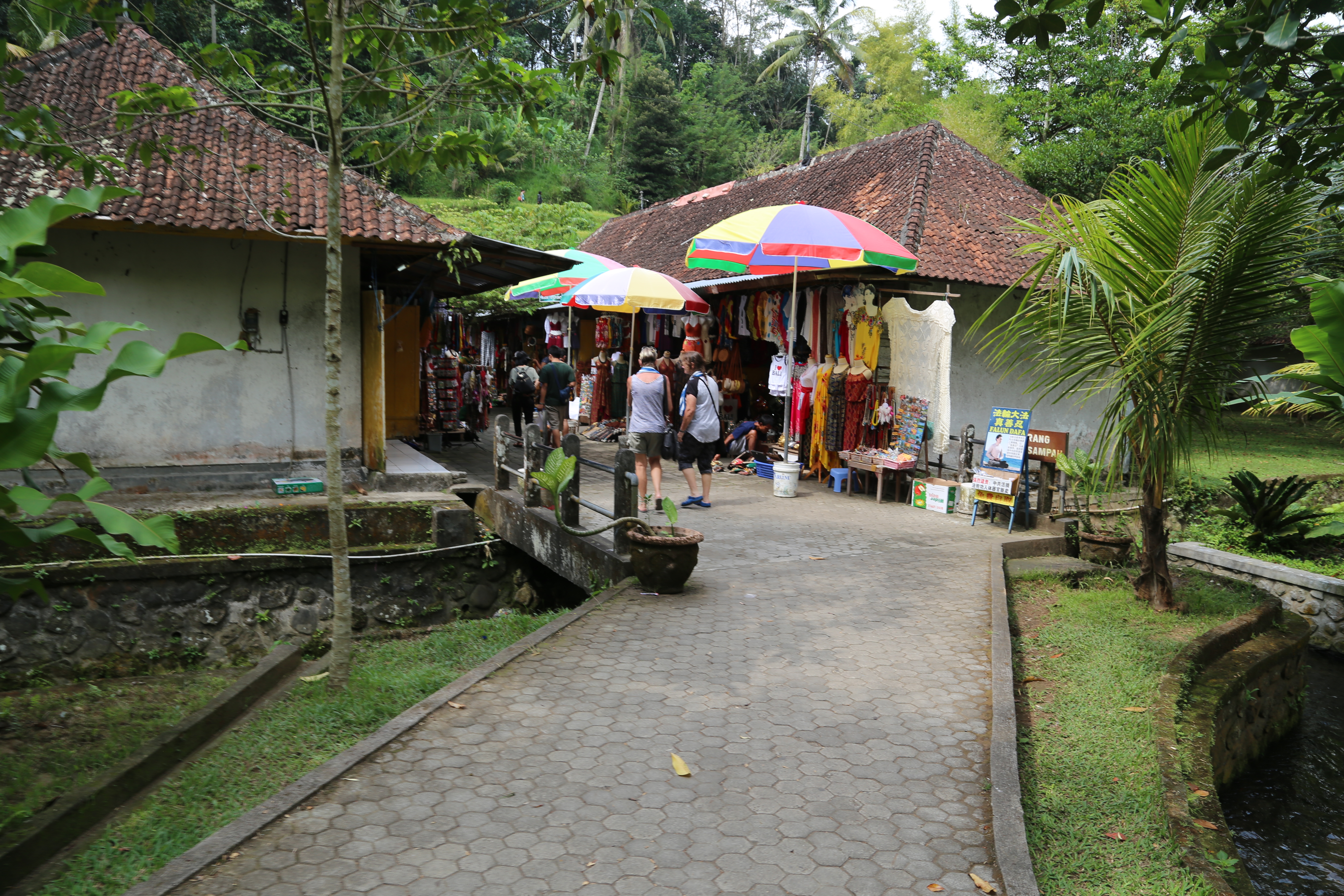 2018 Southeast Asia Trip Day 6 - Ubud, Bali, Indonesia (Mount Agung Volcano in Distance, Tegallalang Rice Terraces, Tirta Empul (Hindu Balinese Water Temple), Wearing Sarongs, Satria Agrowisata Coffee Plantation, Civet Cat Poop, Tibumana Waterfall)