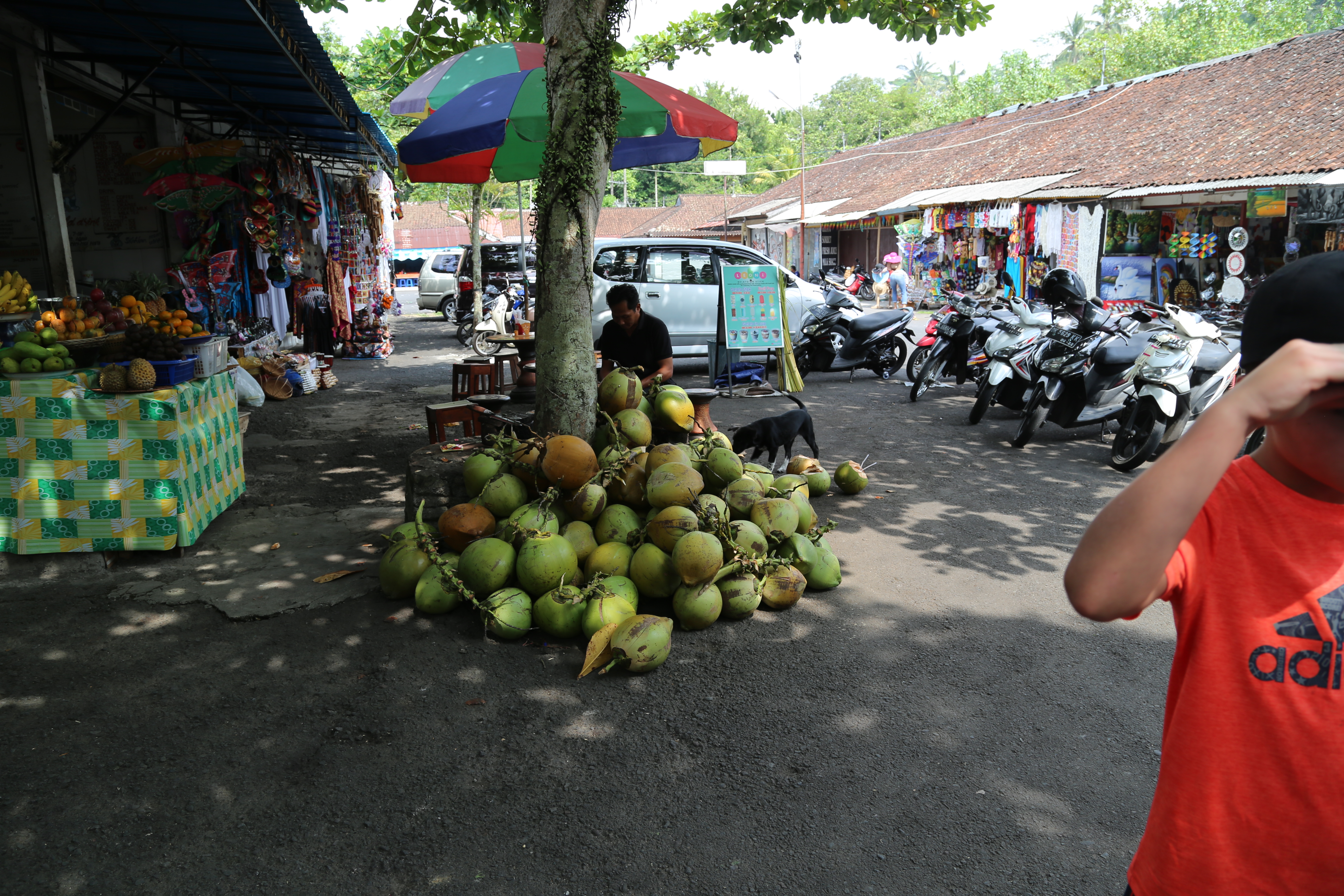 2018 Southeast Asia Trip Day 6 - Ubud, Bali, Indonesia (Mount Agung Volcano in Distance, Tegallalang Rice Terraces, Tirta Empul (Hindu Balinese Water Temple), Wearing Sarongs, Satria Agrowisata Coffee Plantation, Civet Cat Poop, Tibumana Waterfall)