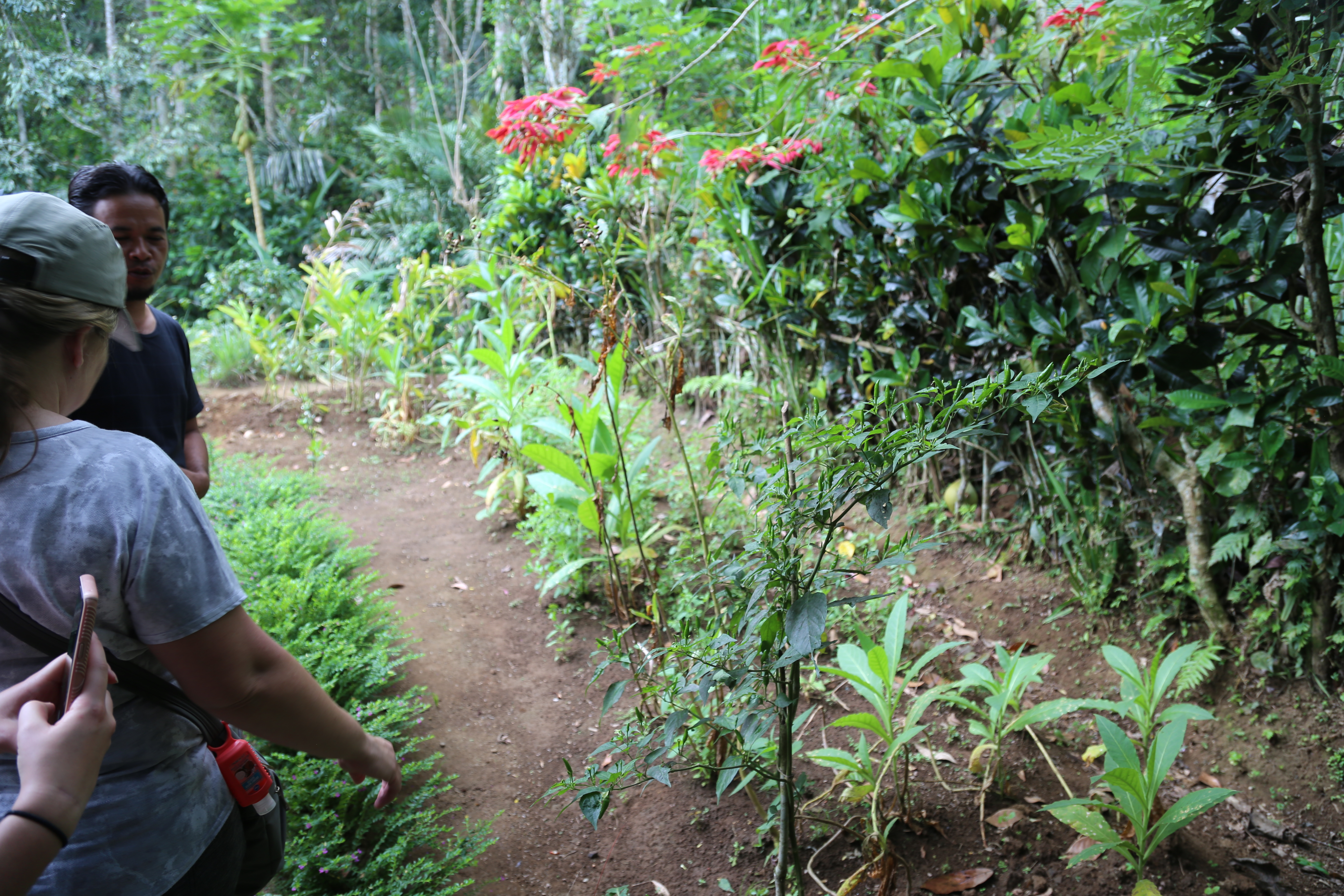 2018 Southeast Asia Trip Day 6 - Ubud, Bali, Indonesia (Mount Agung Volcano in Distance, Tegallalang Rice Terraces, Tirta Empul (Hindu Balinese Water Temple), Wearing Sarongs, Satria Agrowisata Coffee Plantation, Civet Cat Poop, Tibumana Waterfall)