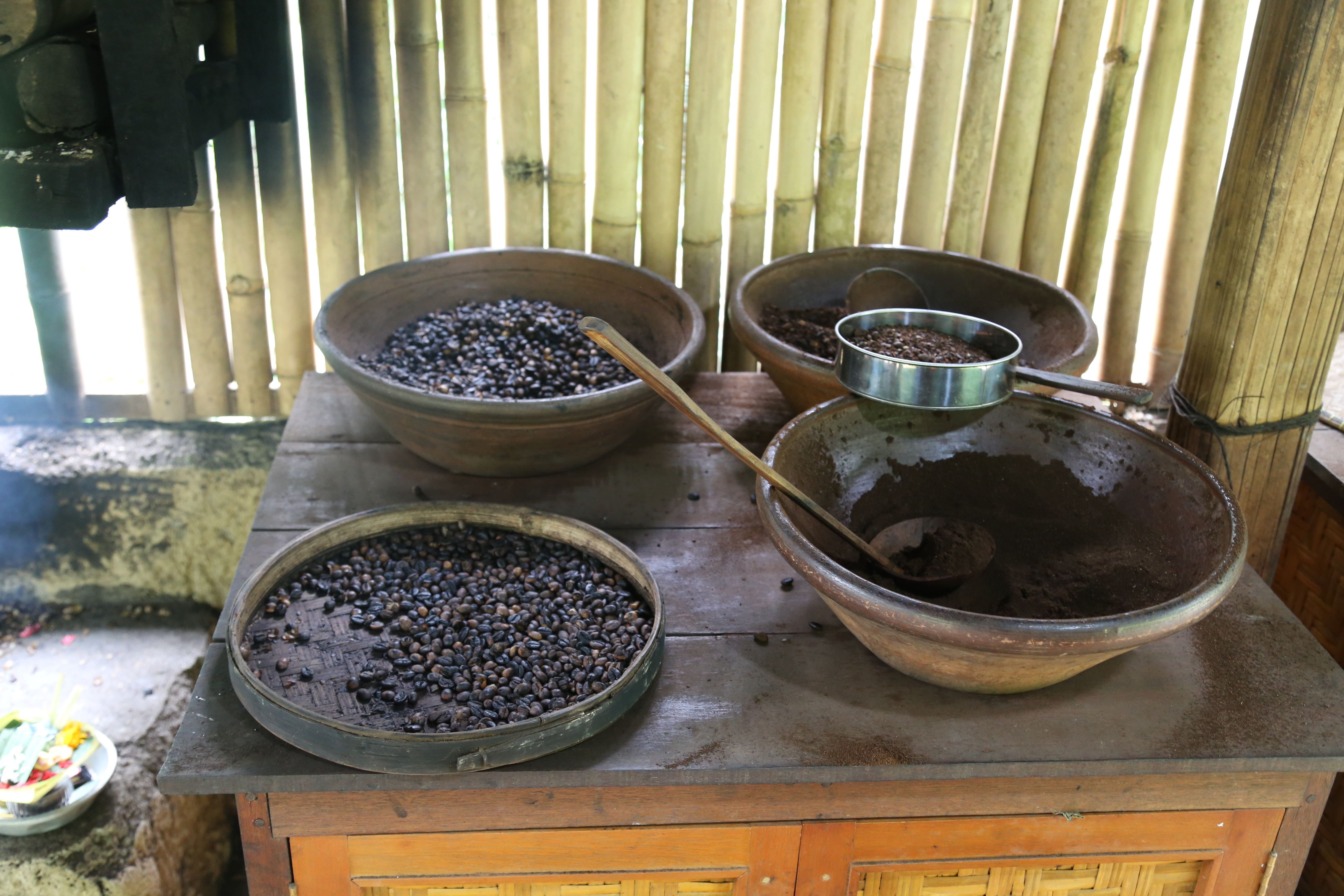 2018 Southeast Asia Trip Day 6 - Ubud, Bali, Indonesia (Mount Agung Volcano in Distance, Tegallalang Rice Terraces, Tirta Empul (Hindu Balinese Water Temple), Wearing Sarongs, Satria Agrowisata Coffee Plantation, Civet Cat Poop, Tibumana Waterfall)