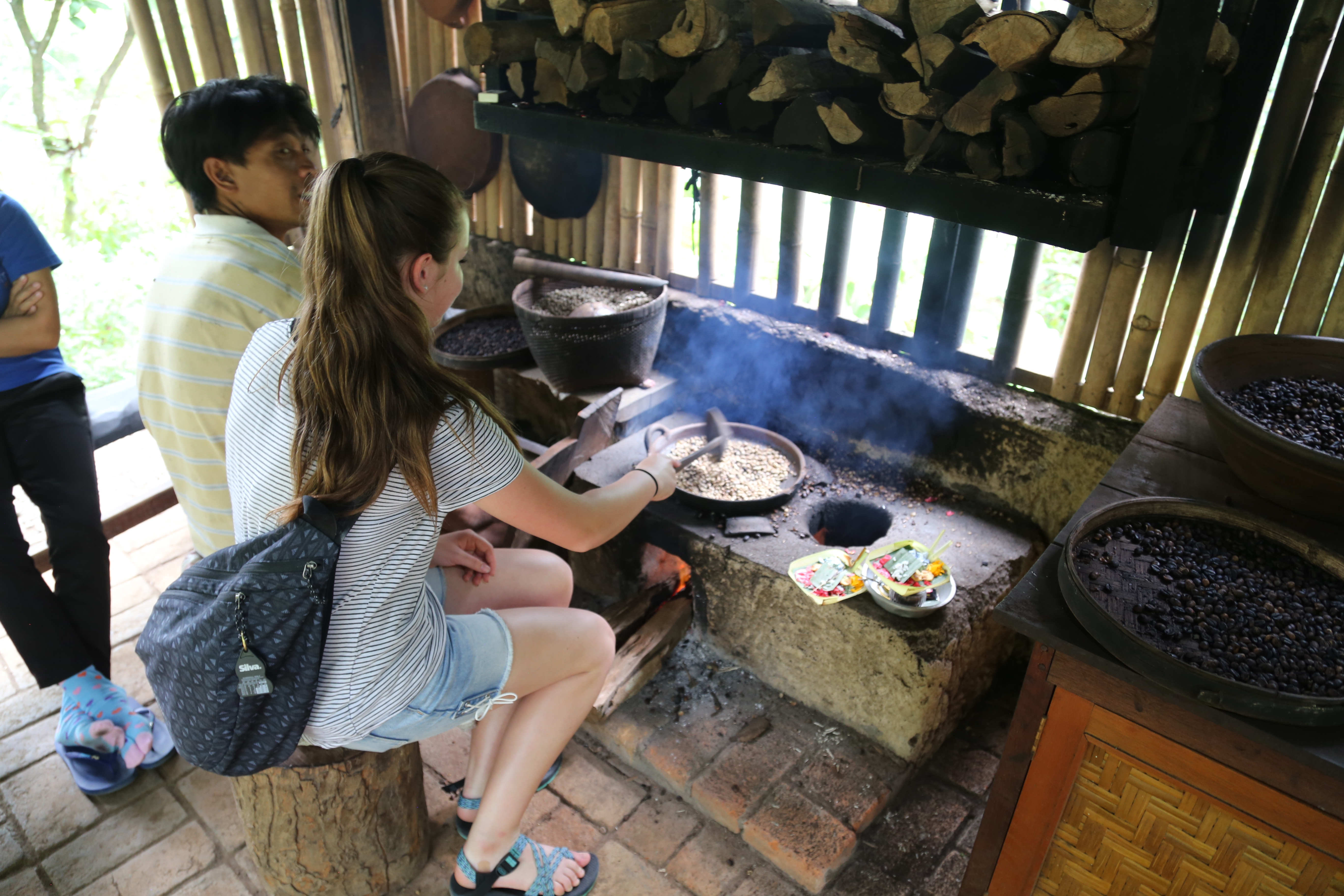 2018 Southeast Asia Trip Day 6 - Ubud, Bali, Indonesia (Mount Agung Volcano in Distance, Tegallalang Rice Terraces, Tirta Empul (Hindu Balinese Water Temple), Wearing Sarongs, Satria Agrowisata Coffee Plantation, Civet Cat Poop, Tibumana Waterfall)